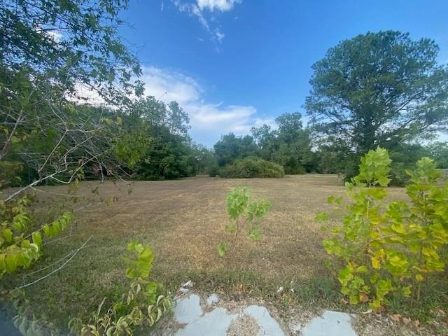 810 Dickinson Property Photo 3