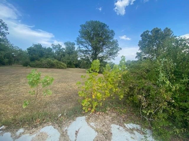 810 Dickinson Property Photo 4