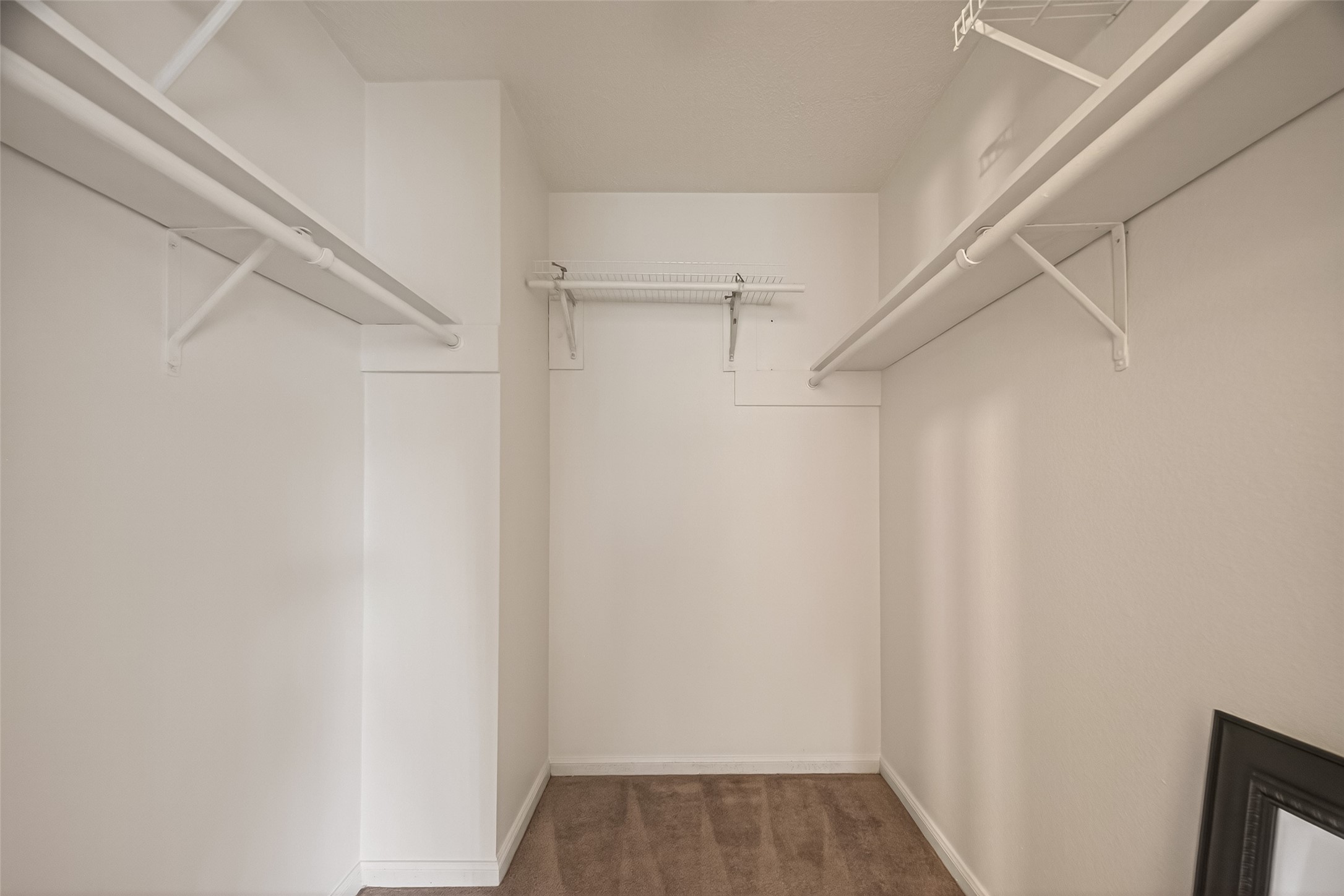12835 Woodlite Lane Property Photo 33