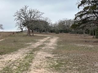 N/a County Road 134 Property Photo 2