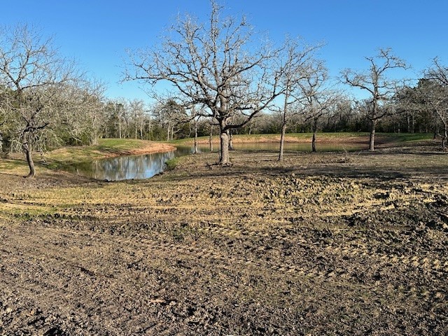 N/a County Road 134 Property Photo 3