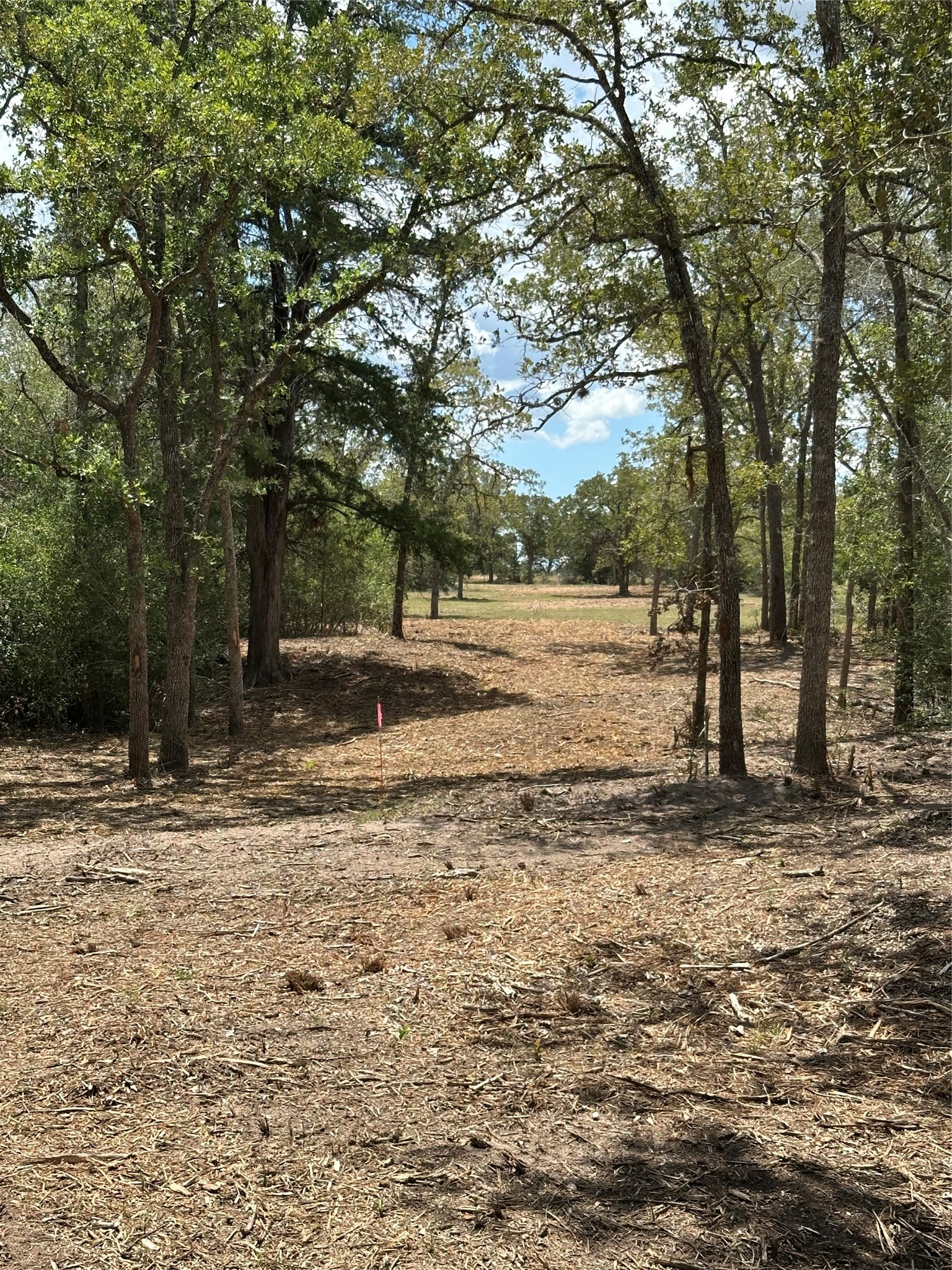 N/a County Road 134 Property Photo 5