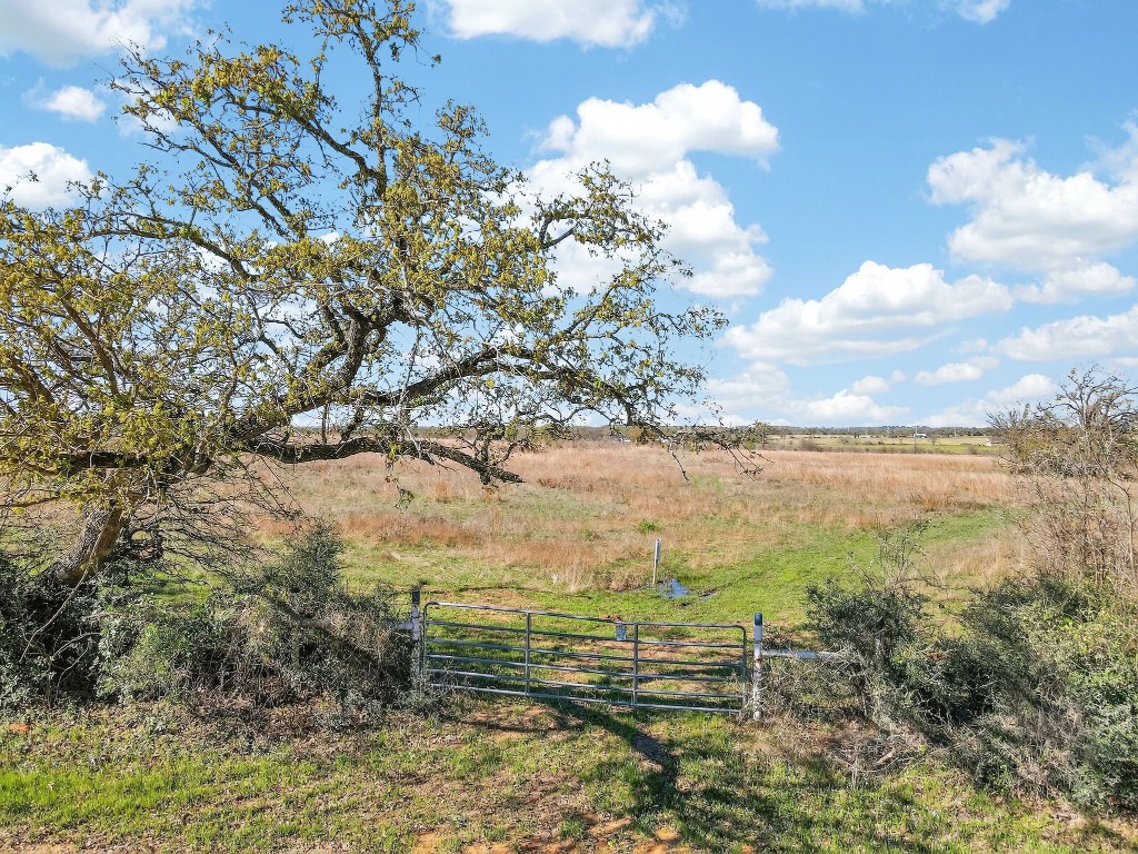 2534 Old Hickory Grove Road Property Photo 2