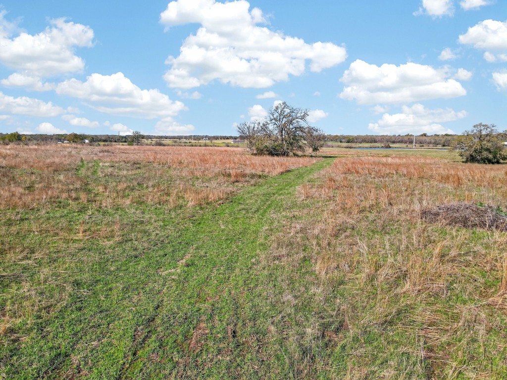 2534 Old Hickory Grove Road Property Photo 4