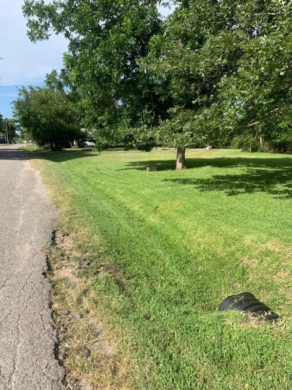 4823 Bland Street Property Photo 2