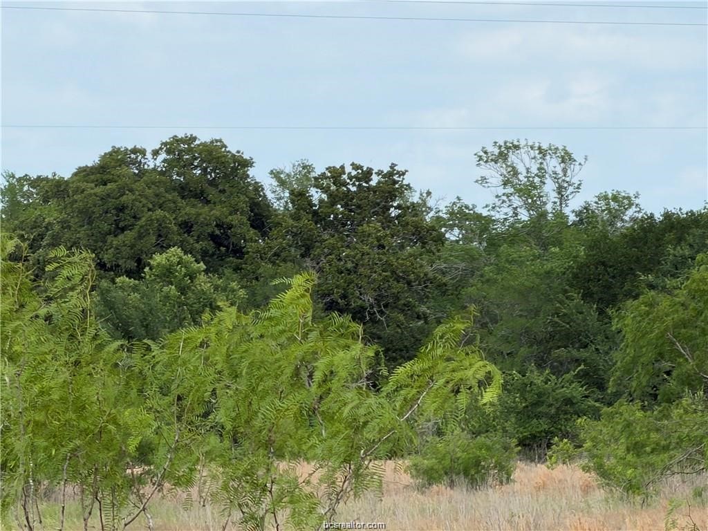 Tbd Tonkaway Lake Pvt Road Property Photo 4