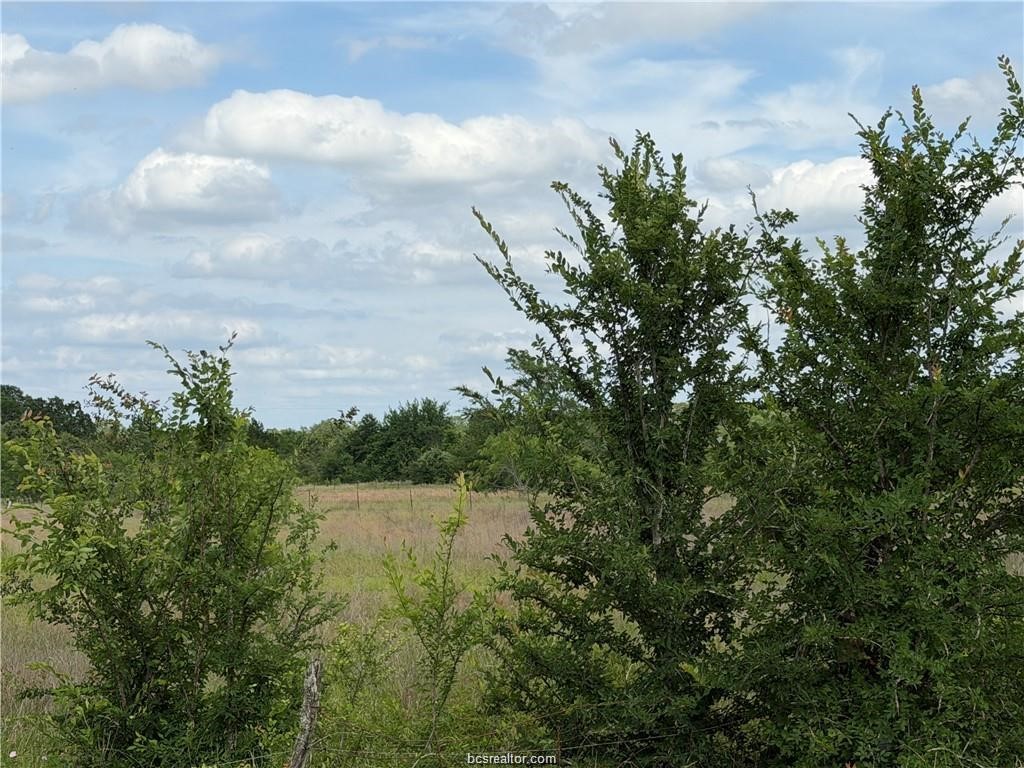 Tbd Tonkaway Lake Pvt Road Property Photo 6