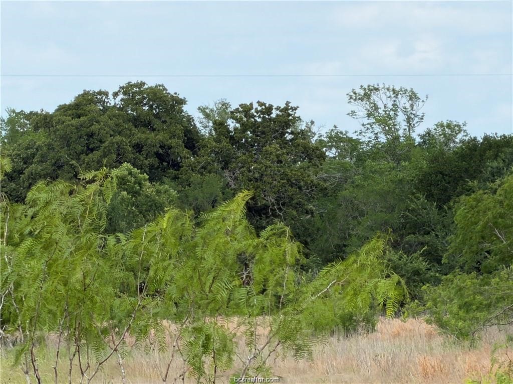 Tbd Tonkaway Lake Pvt Road Property Photo 7