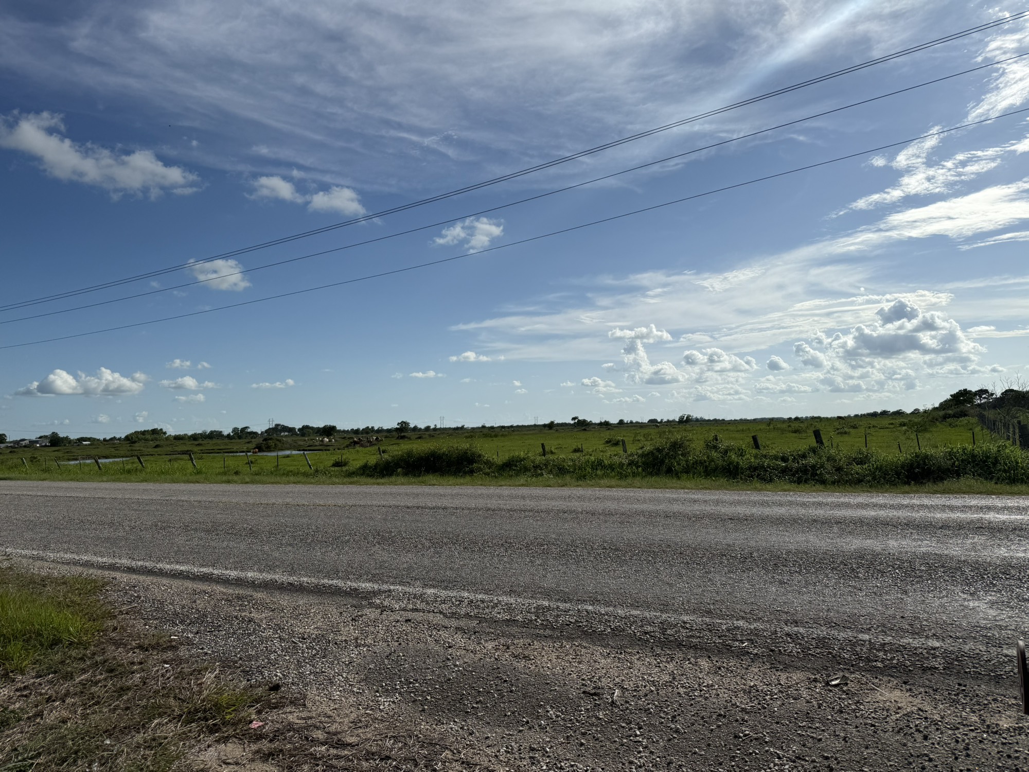 CR308 FM1163