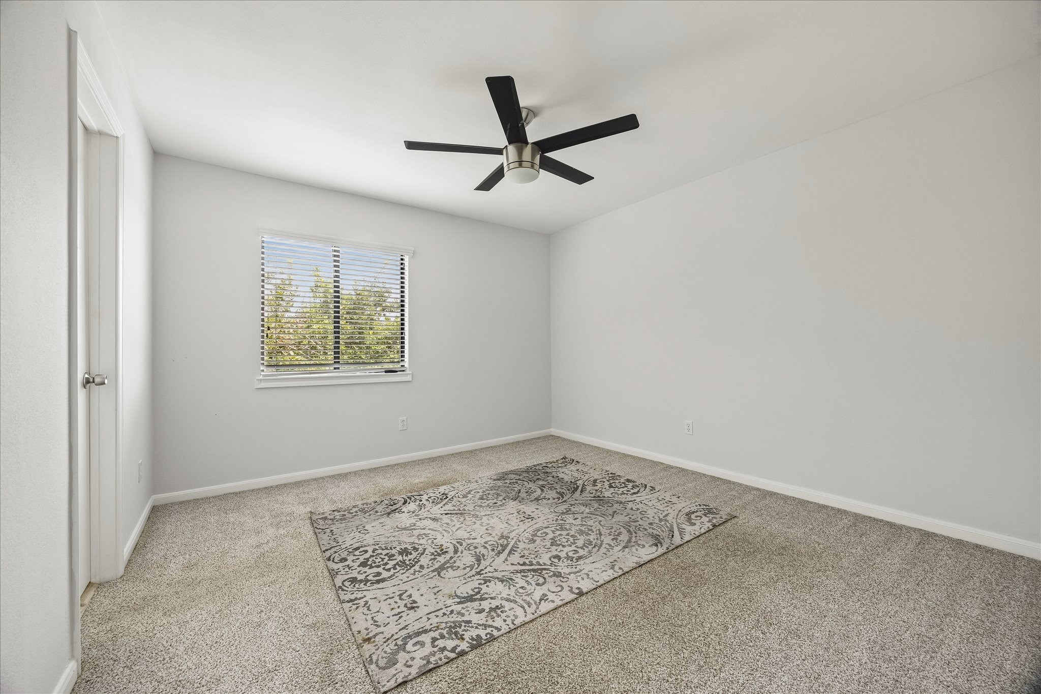 402 Tuam Street 3 Property Photo 21