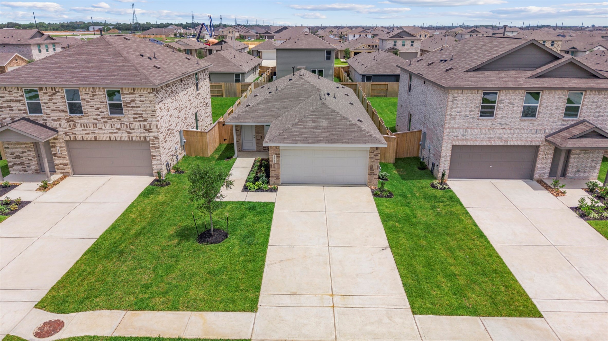 26846 Vanilla Pearls Lane Property Photo 3