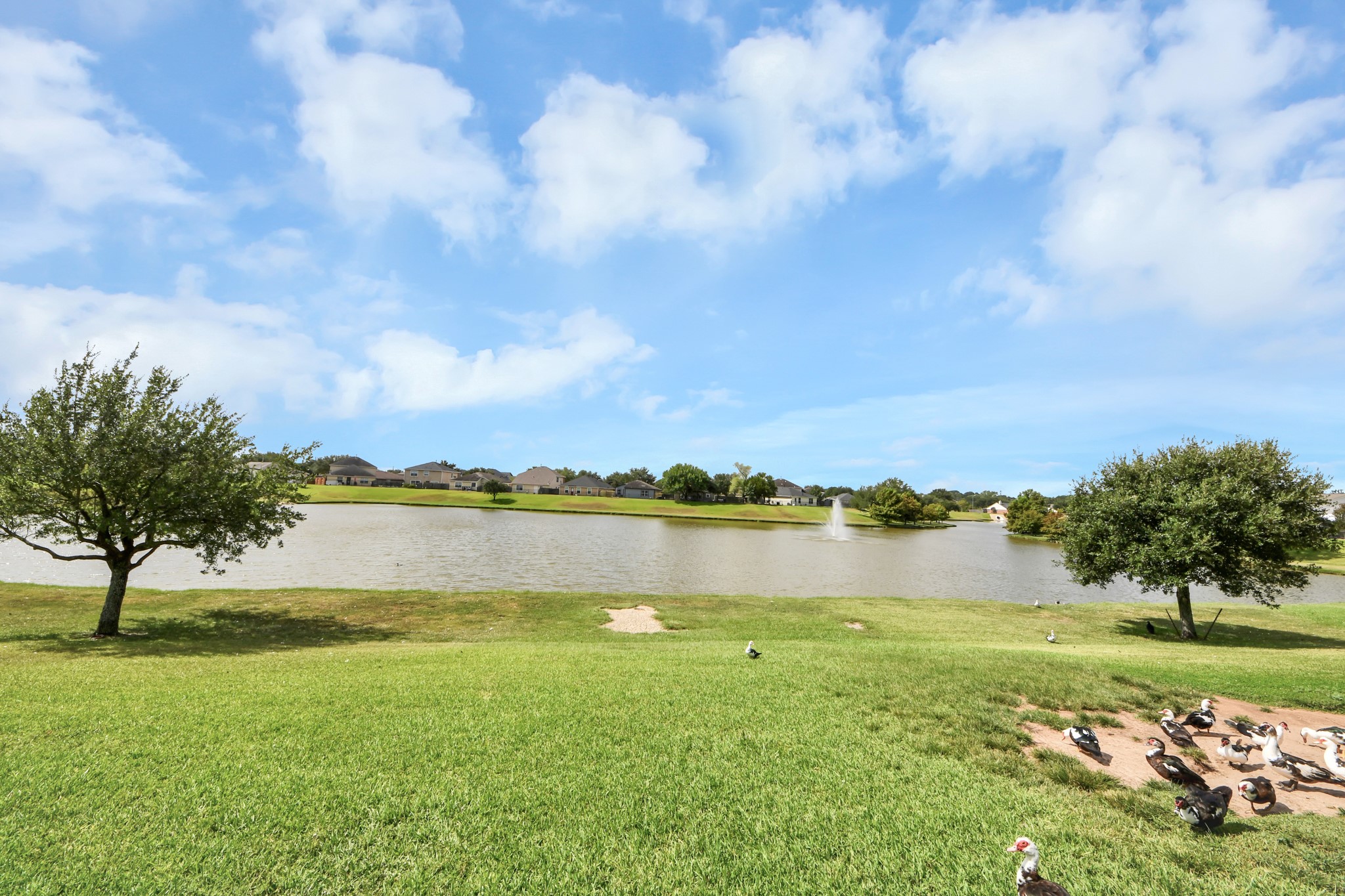 21615 Britton Hill Way Property Photo 28