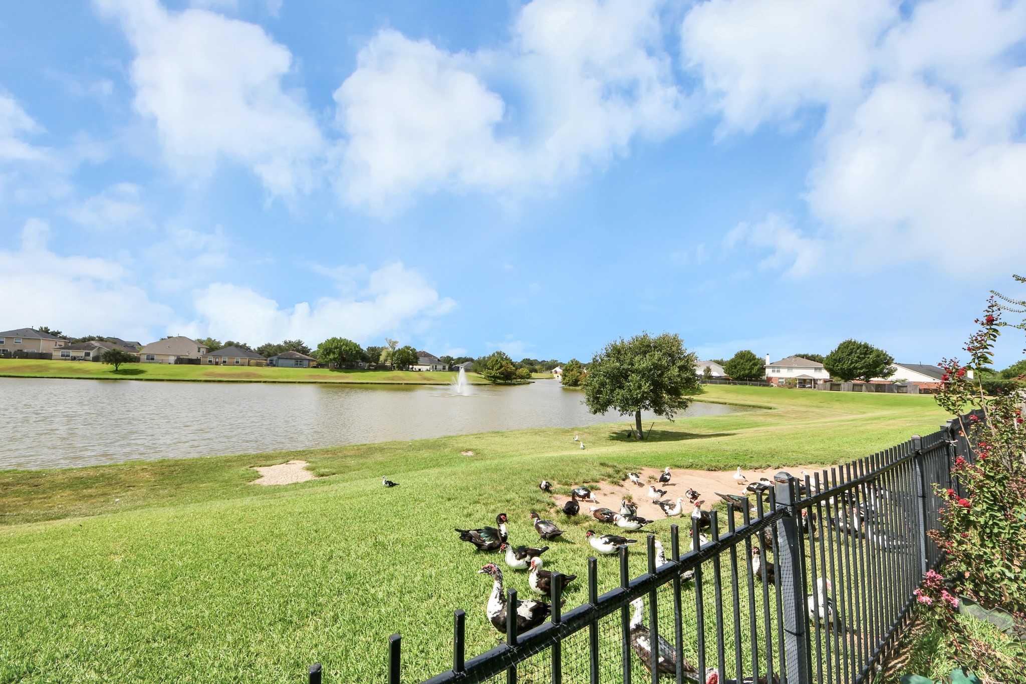 21615 Britton Hill Way Property Photo 29