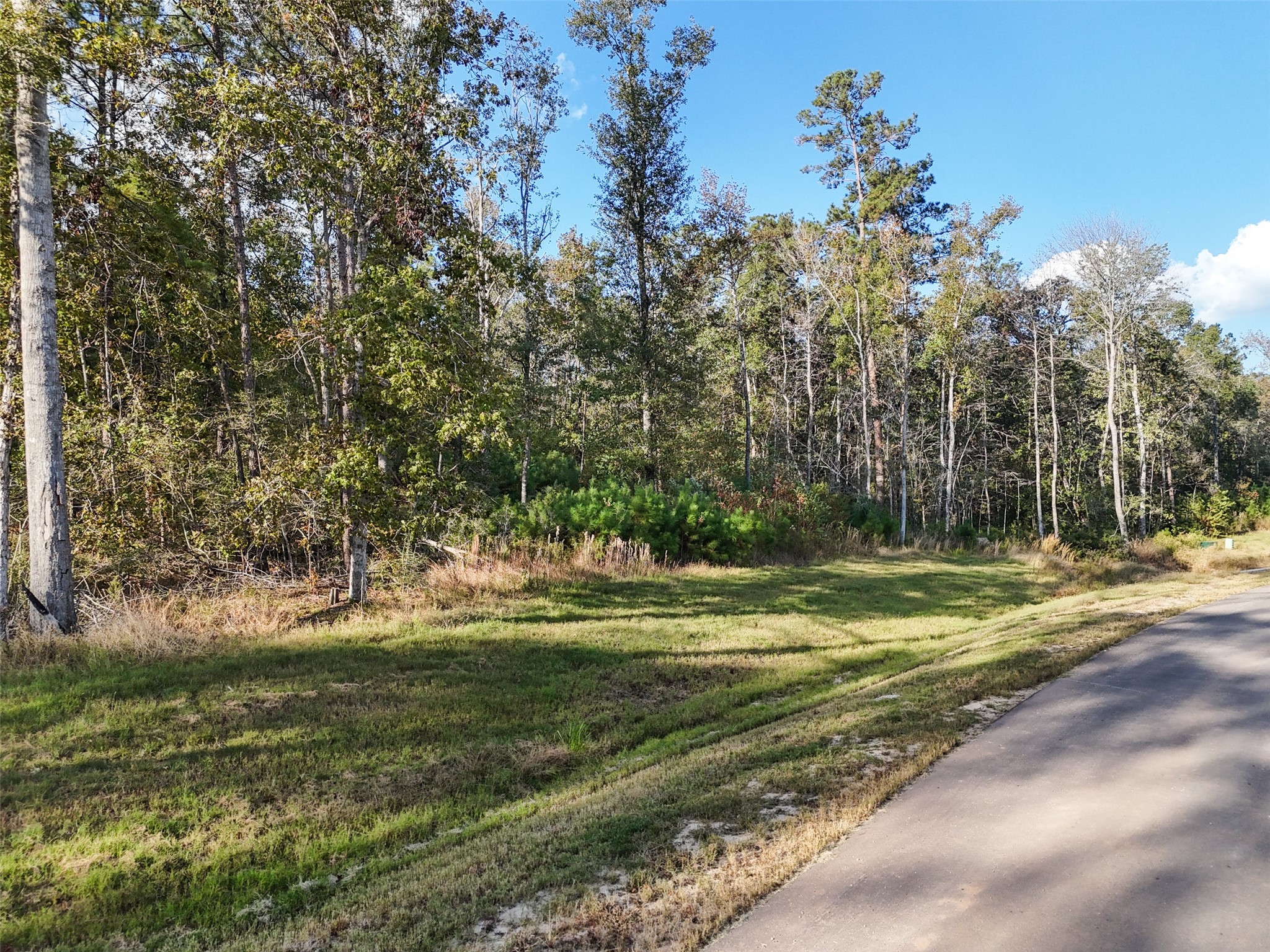 11615 Dawn Tree Lane Property Photo 2