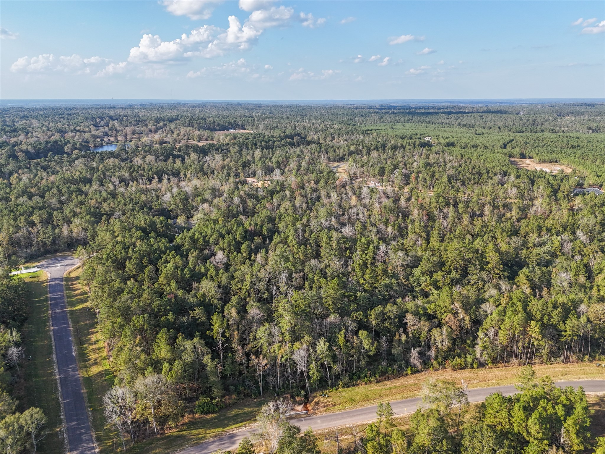 11615 Dawn Tree Lane Property Photo 3
