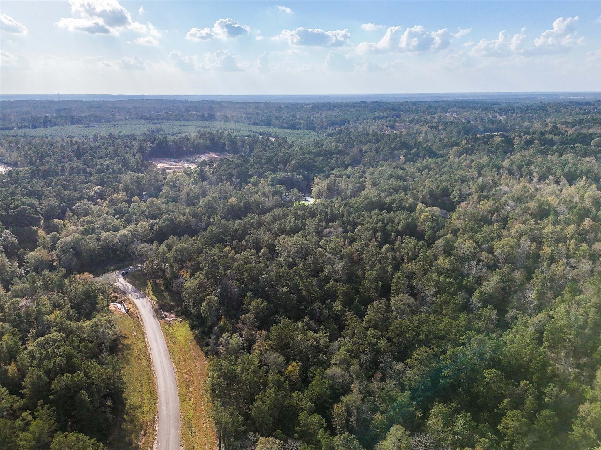 11615 Dawn Tree Lane Property Photo 4