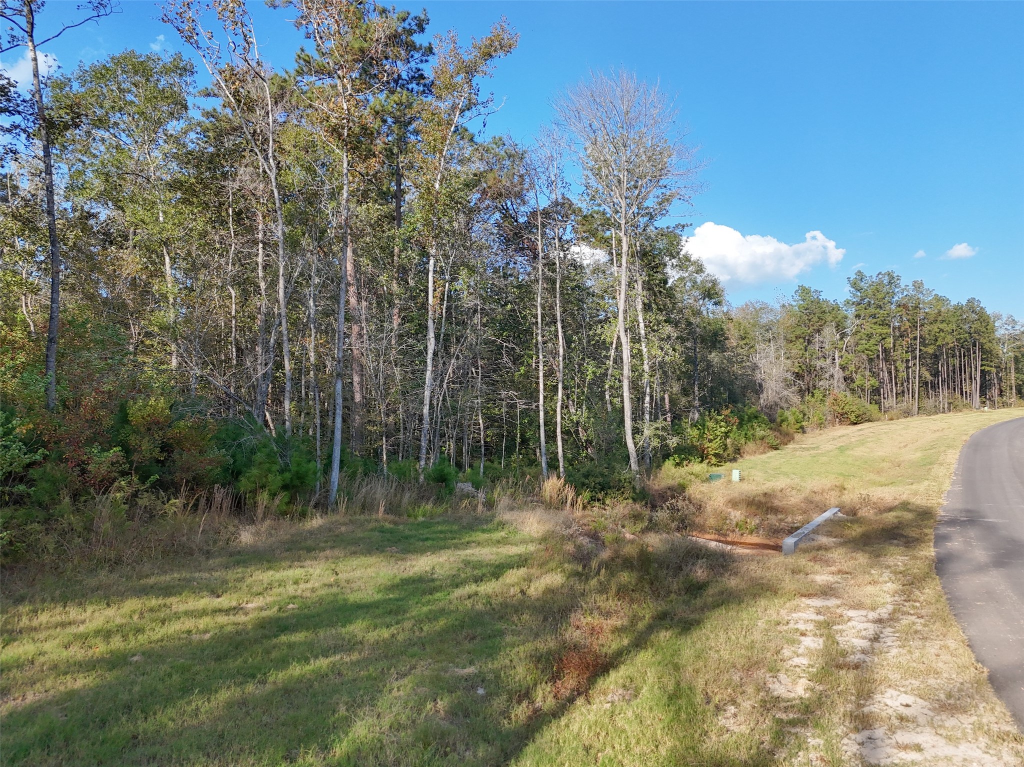 11615 Dawn Tree Lane Property Photo 5