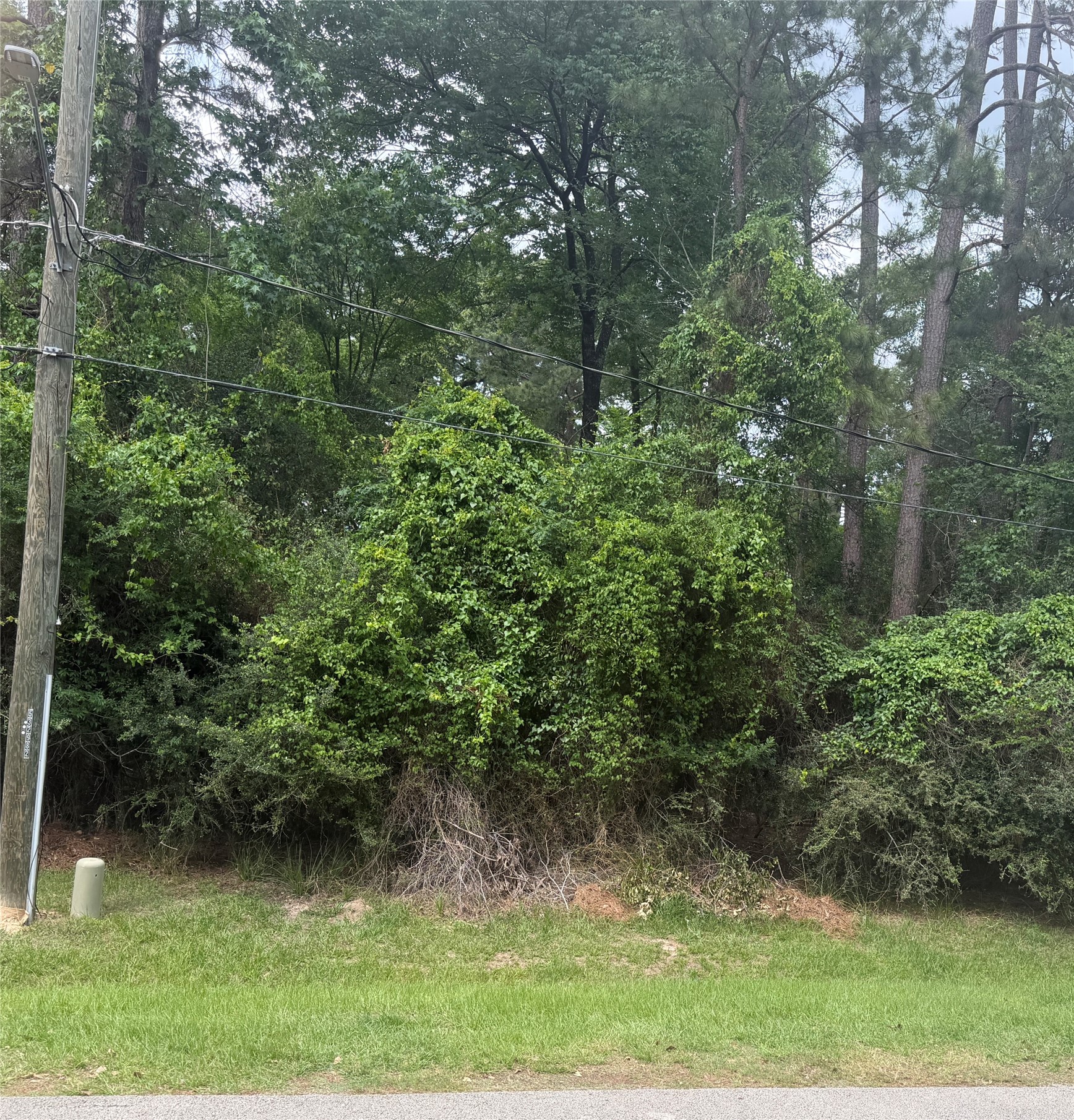 L34 Grant Drive Property Photo 3