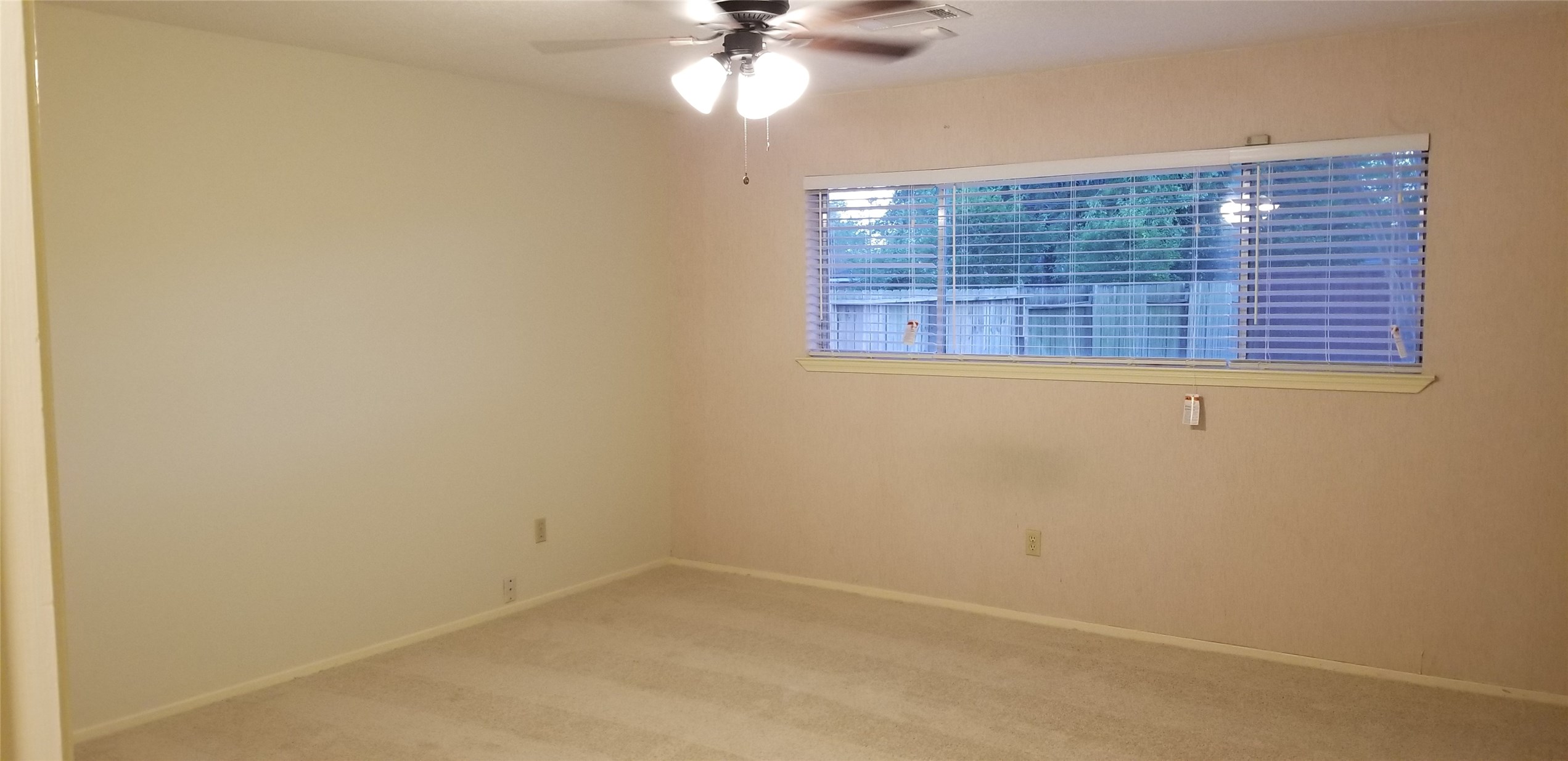 8807 Leader Street Property Photo 11