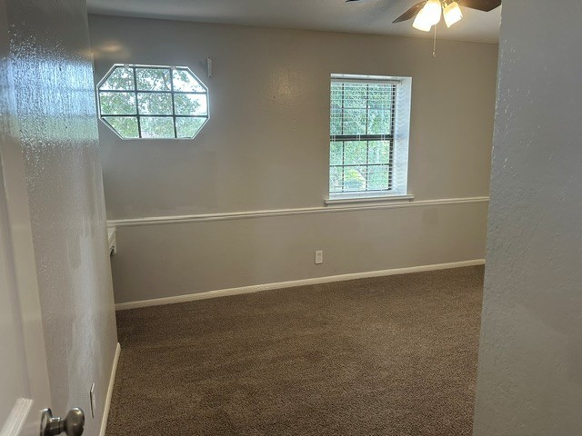 54 Daffodil Court Property Photo 8