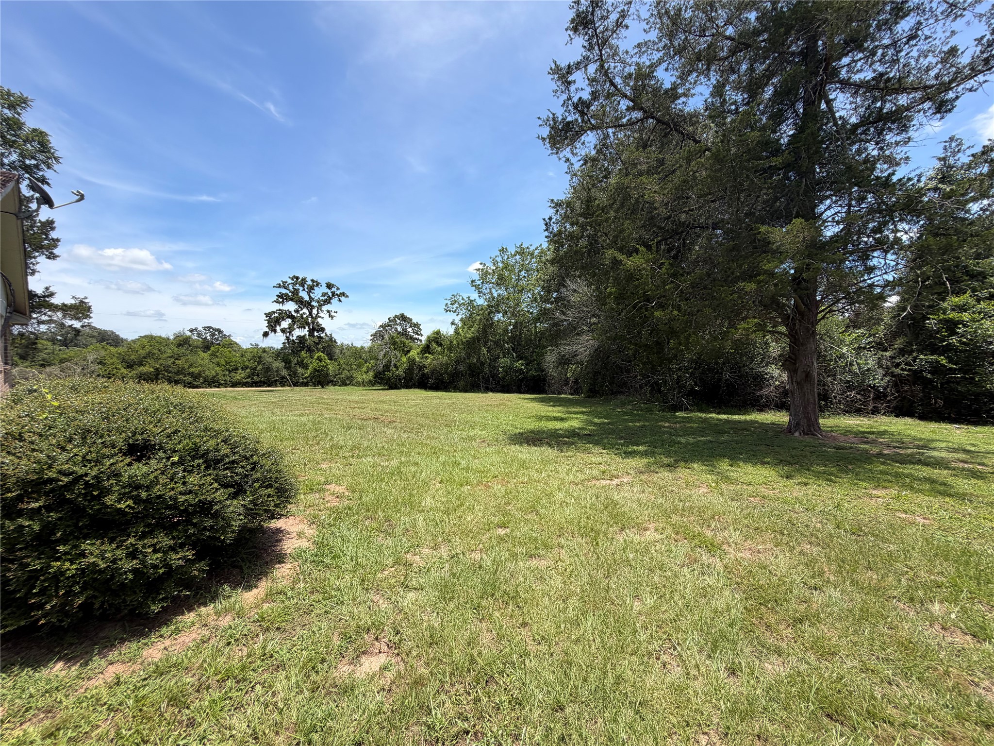 117 Dogwood Trail Property Photo 5
