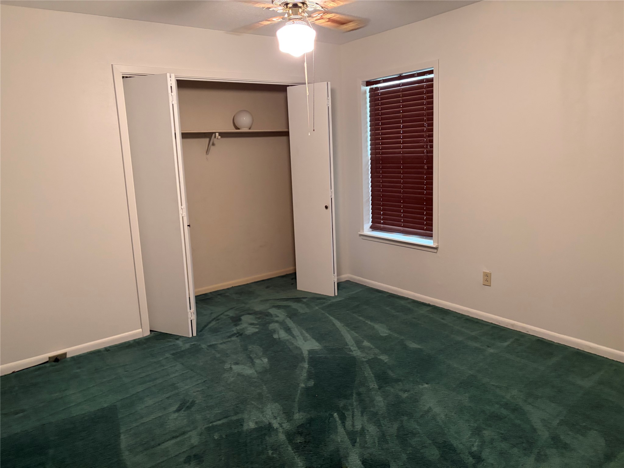 117 Dogwood Trail Property Photo 11