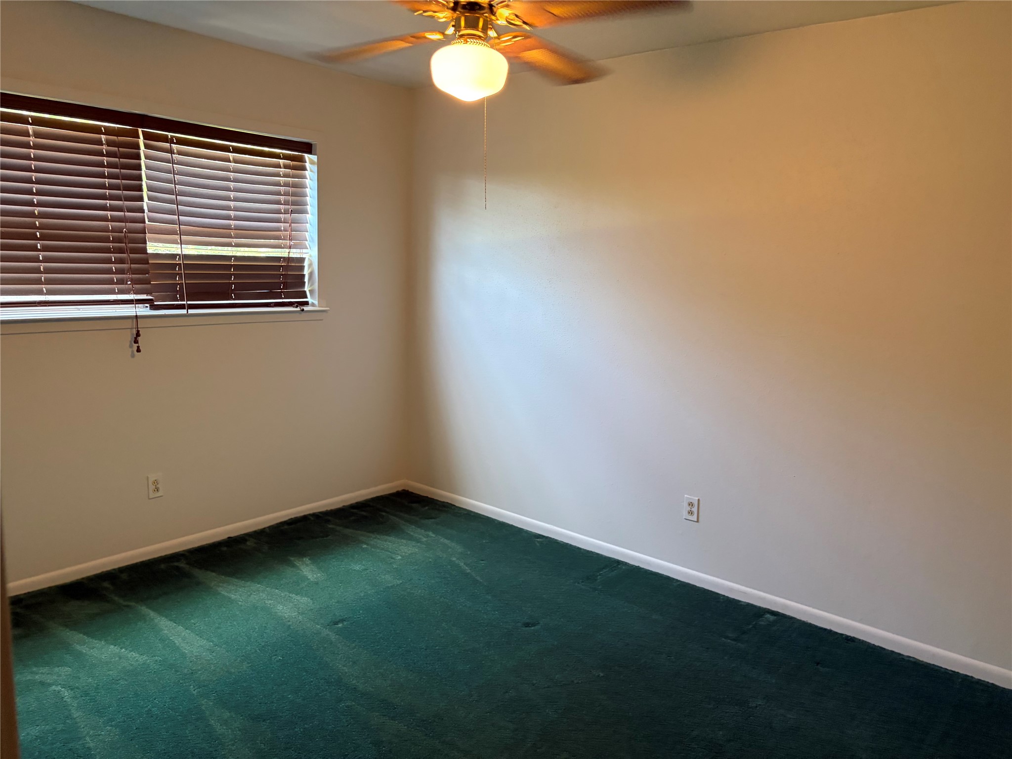 117 Dogwood Trail Property Photo 12