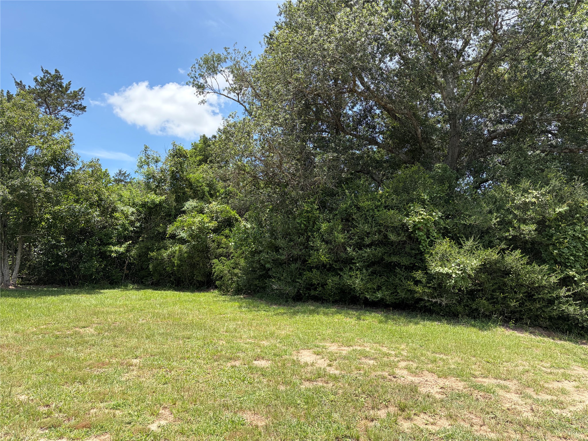 117 Dogwood Trail Property Photo 13