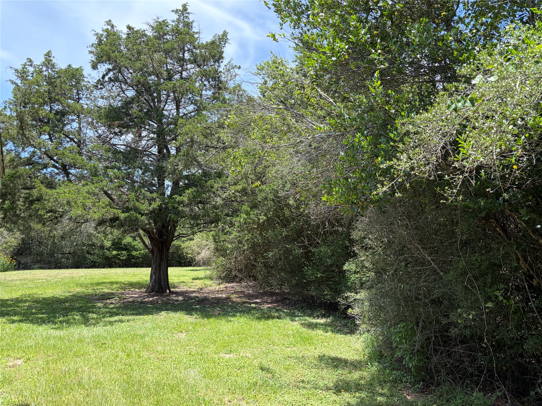 117 Dogwood Trail Property Photo 14