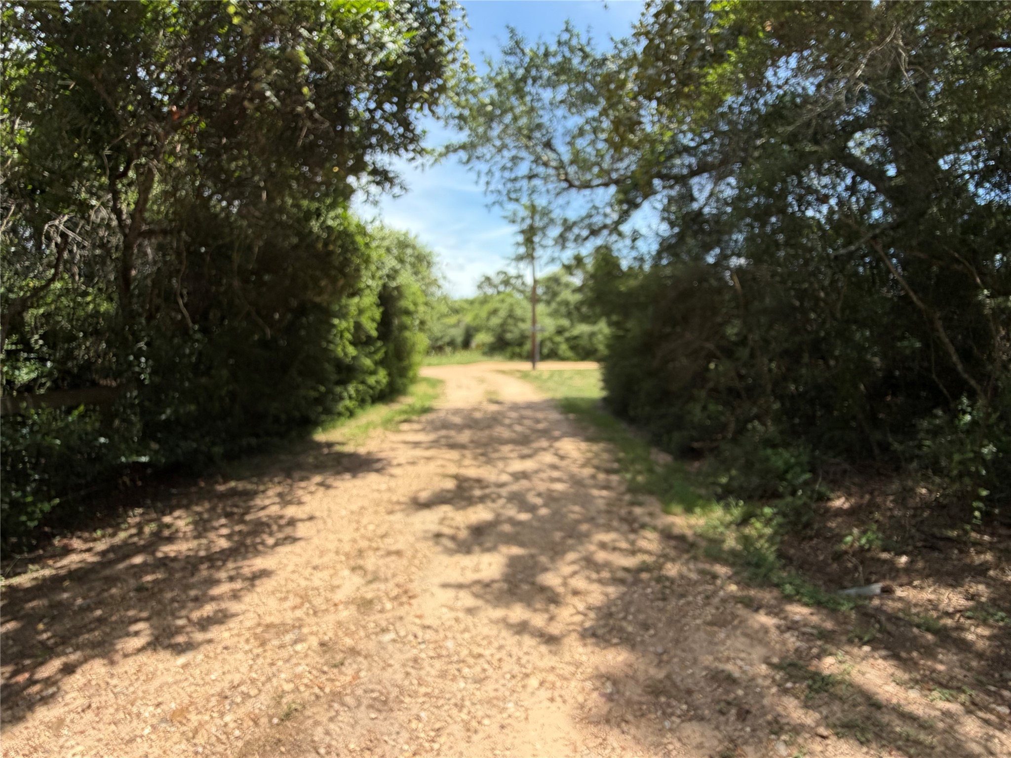 117 Dogwood Trail Property Photo 15