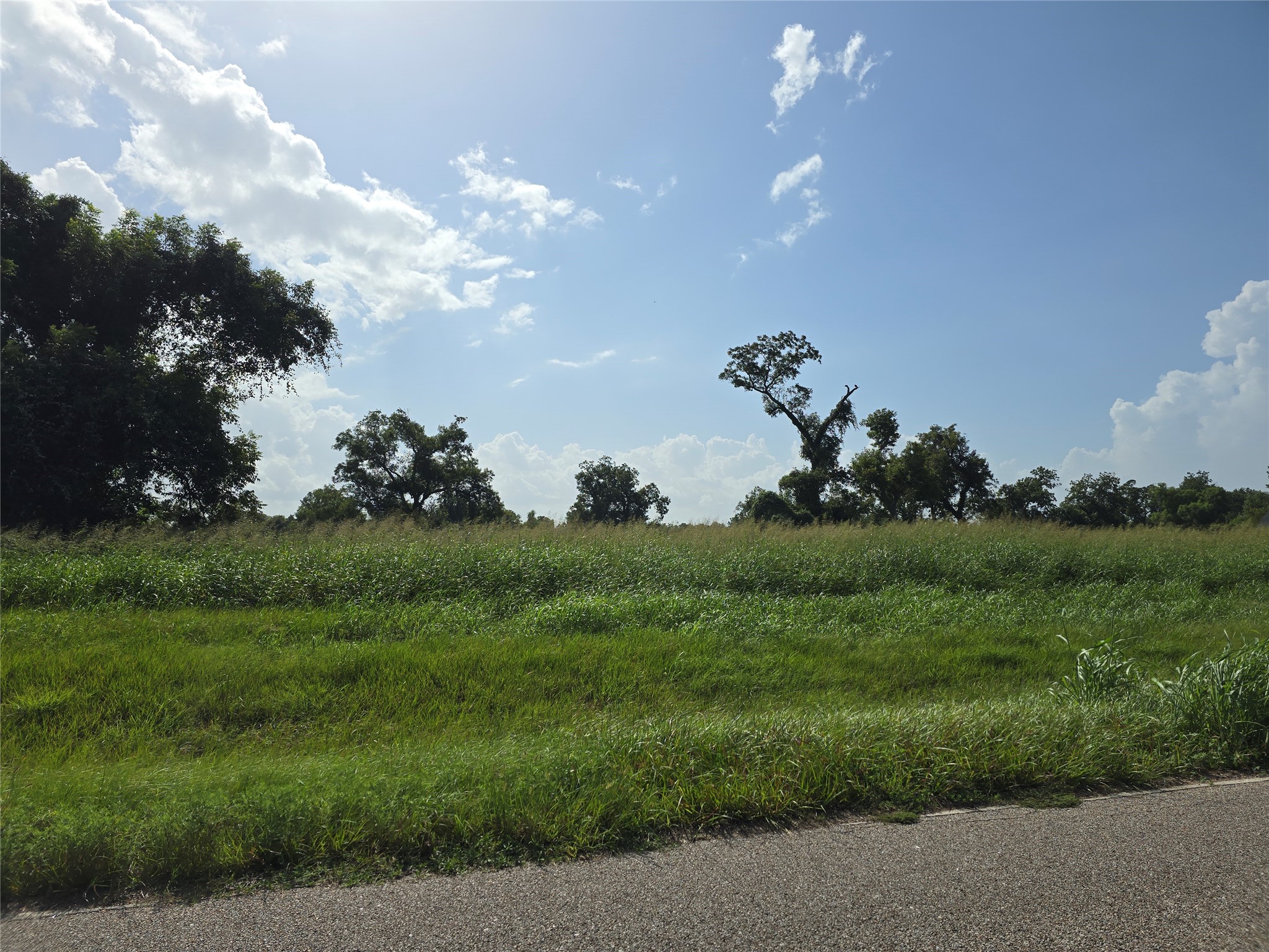 3618 Tankersley Circle Property Photo 1