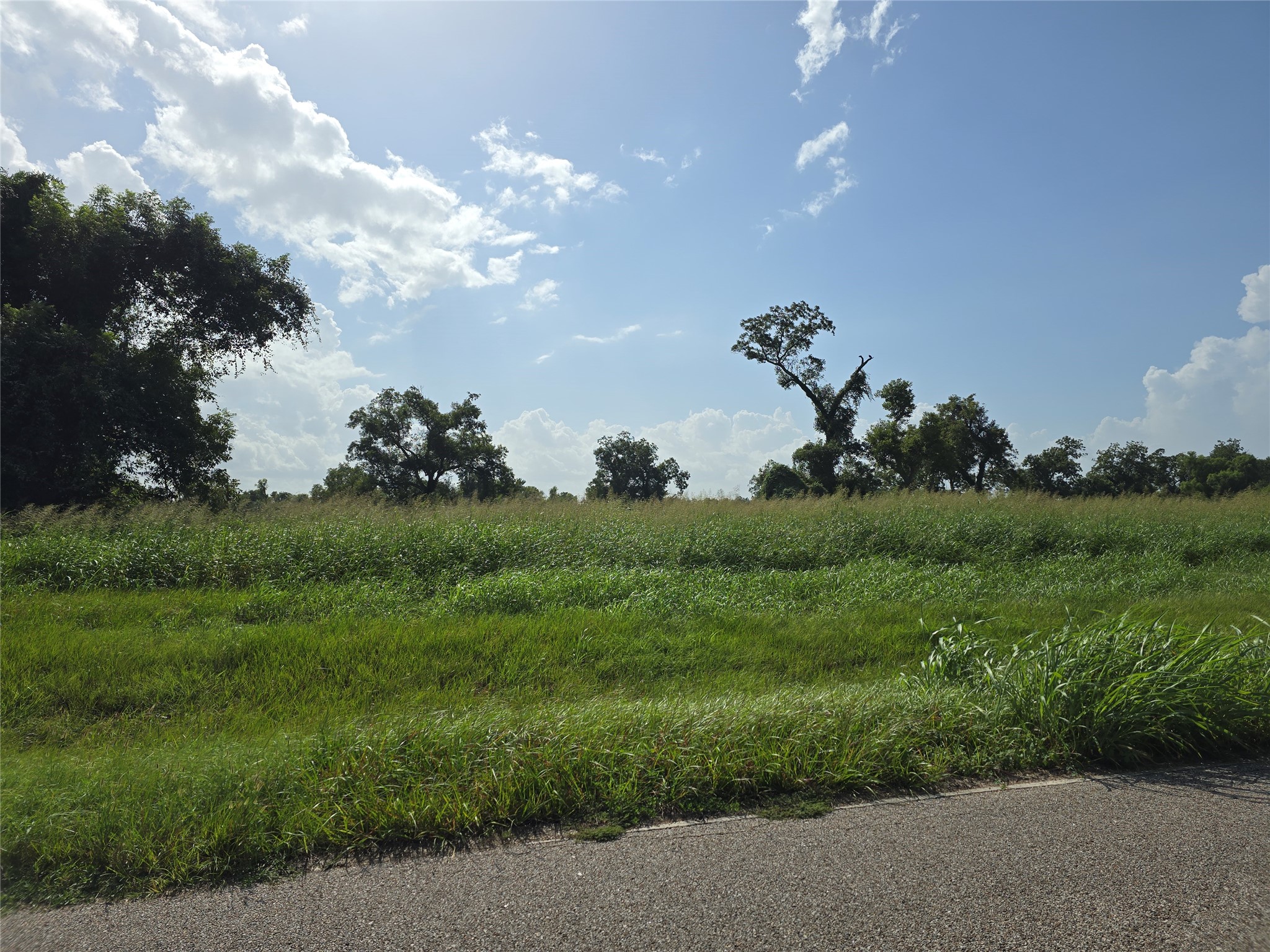 3618 Tankersley Circle Property Photo 4