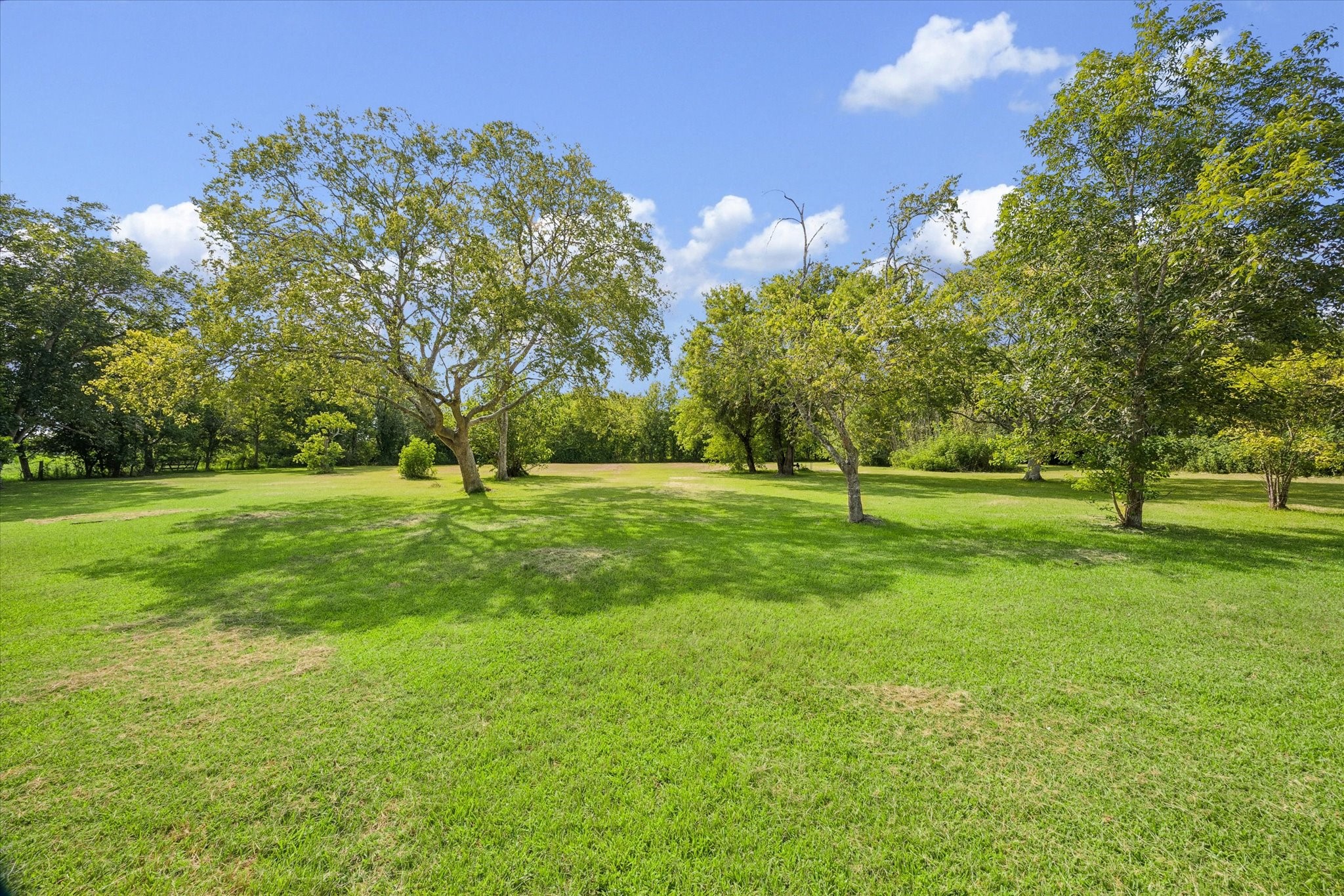 18111 Roy Long Road Property Photo 7