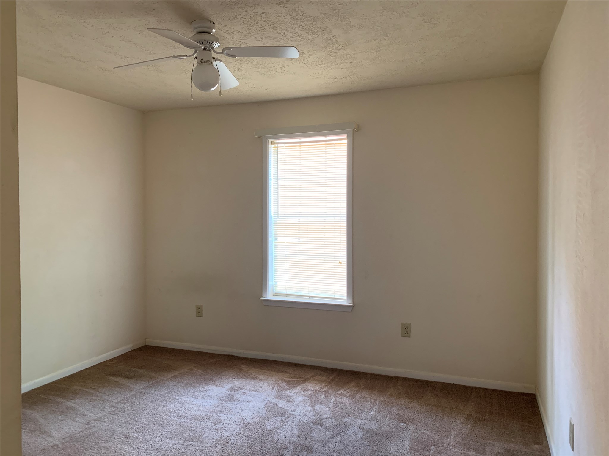 3901 College Main Street B Property Photo 21