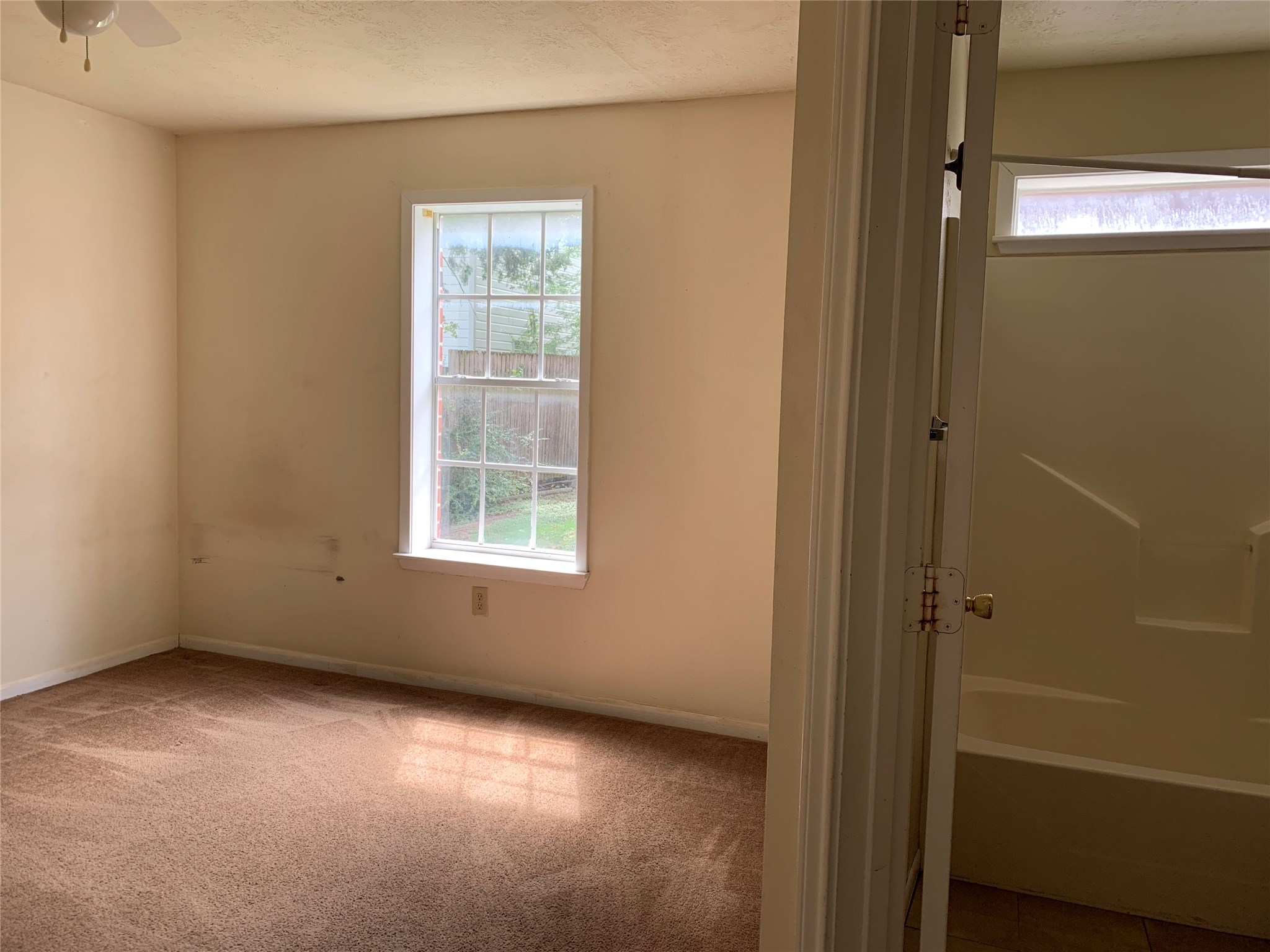 3901 College Main Street B Property Photo 22