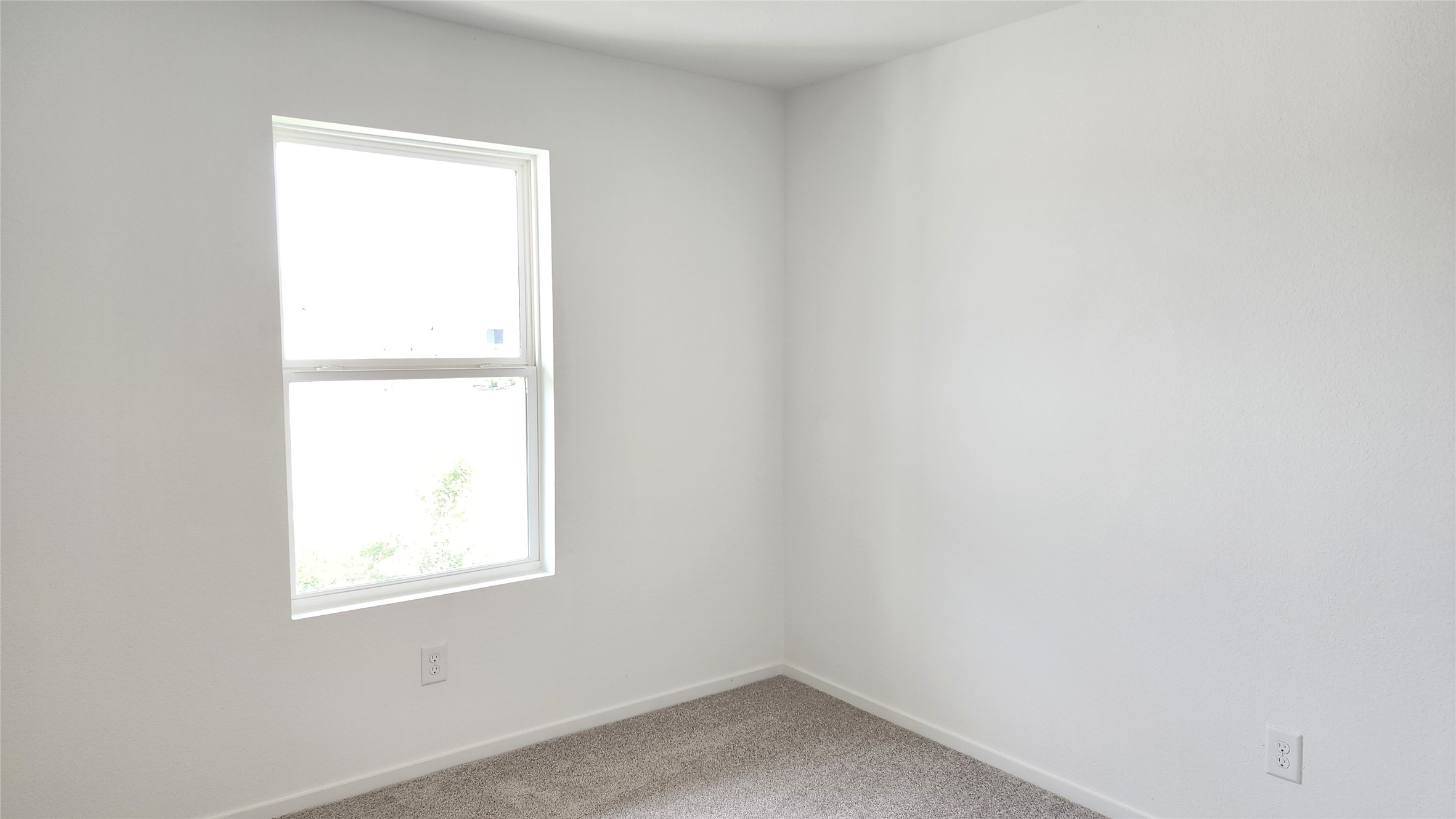 29018 Rustic Windmill Way Property Photo 20