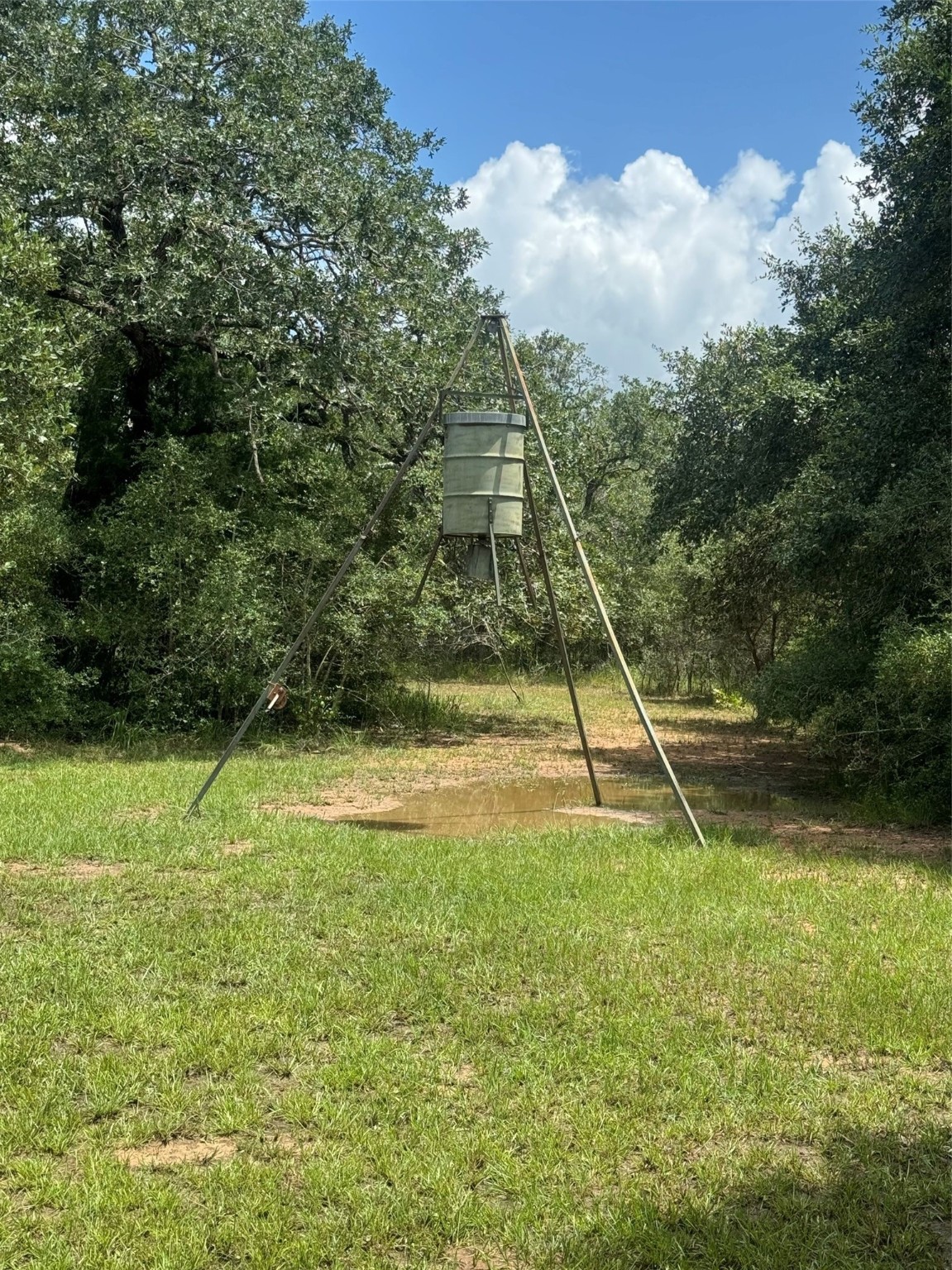 2942 Sandy Creek Road Property Photo 4