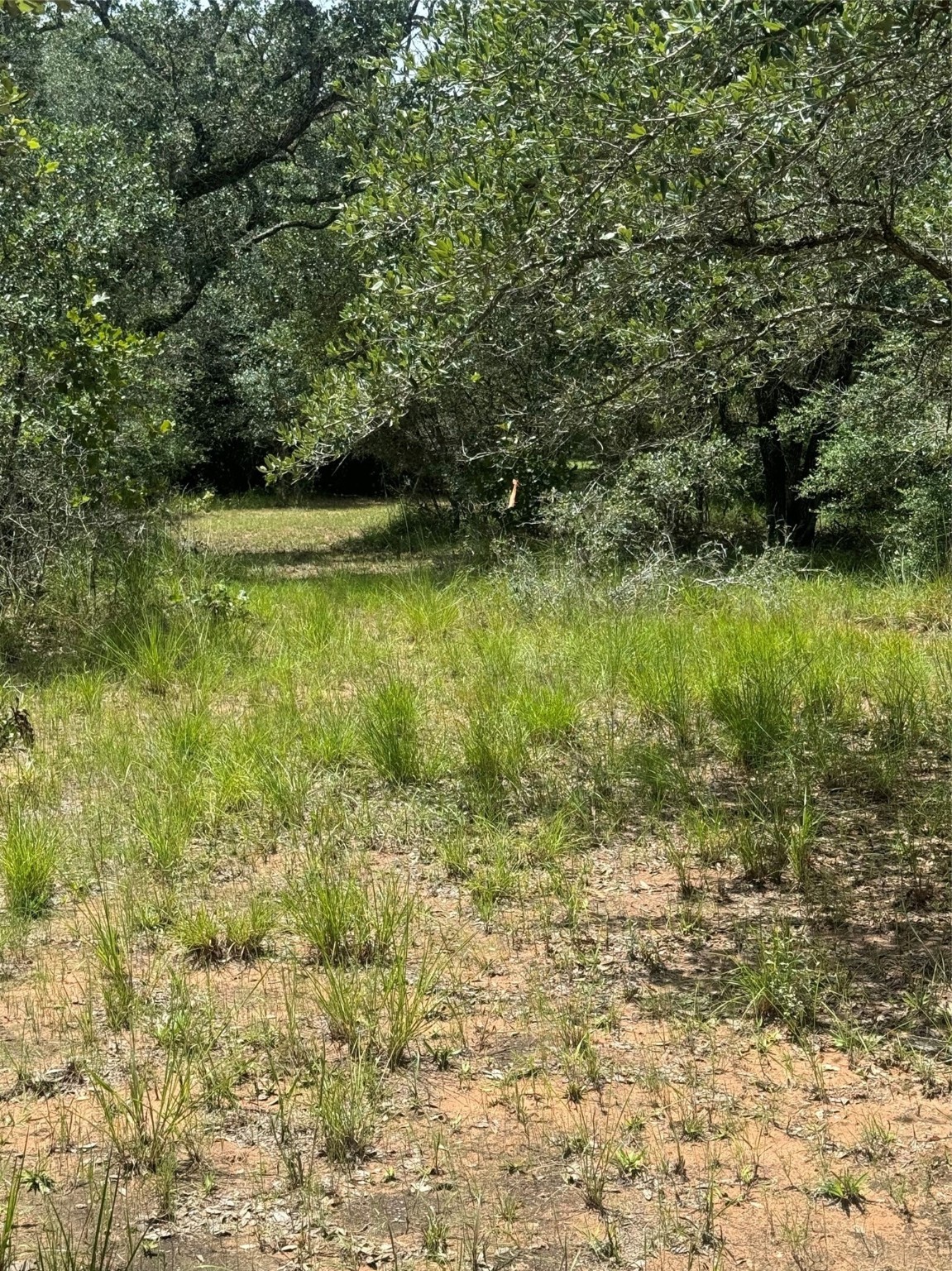 2942 Sandy Creek Road Property Photo 6