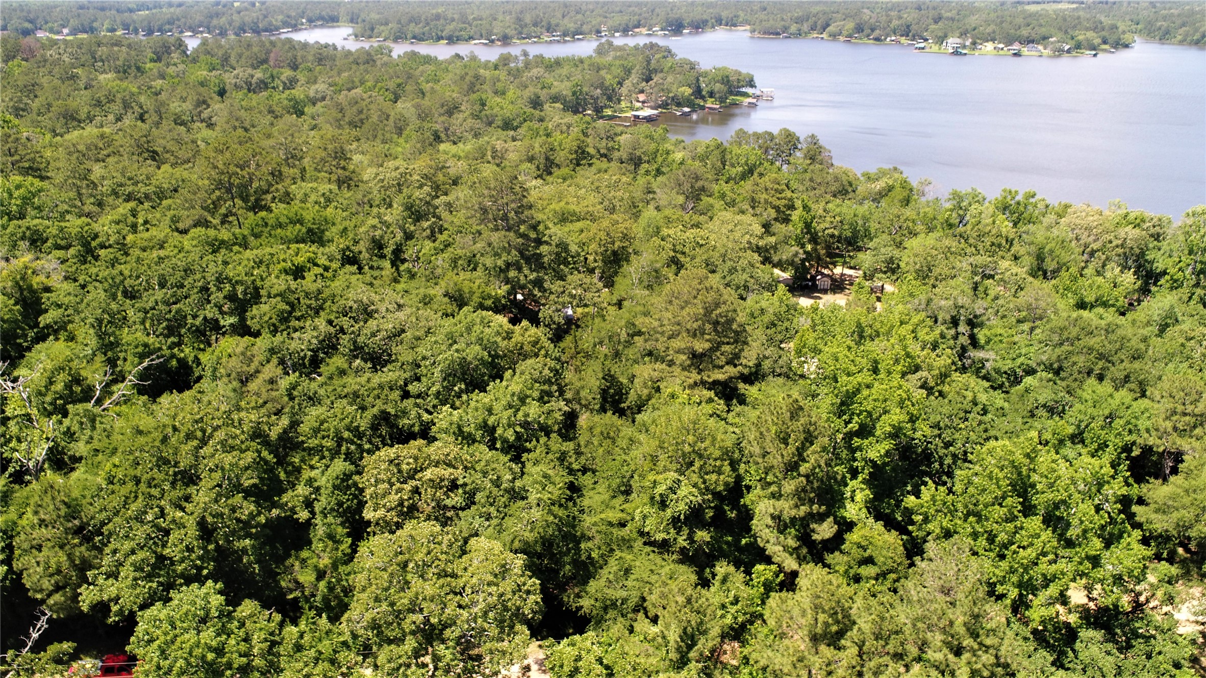 Tbd Forest Road Property Photo 1
