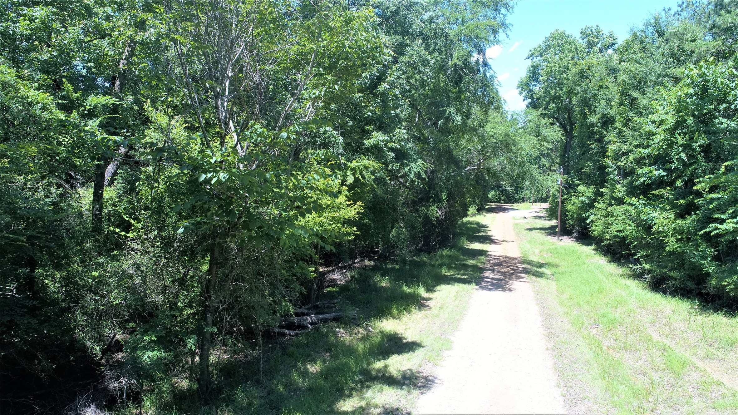 Tbd Forest Road Property Photo 2