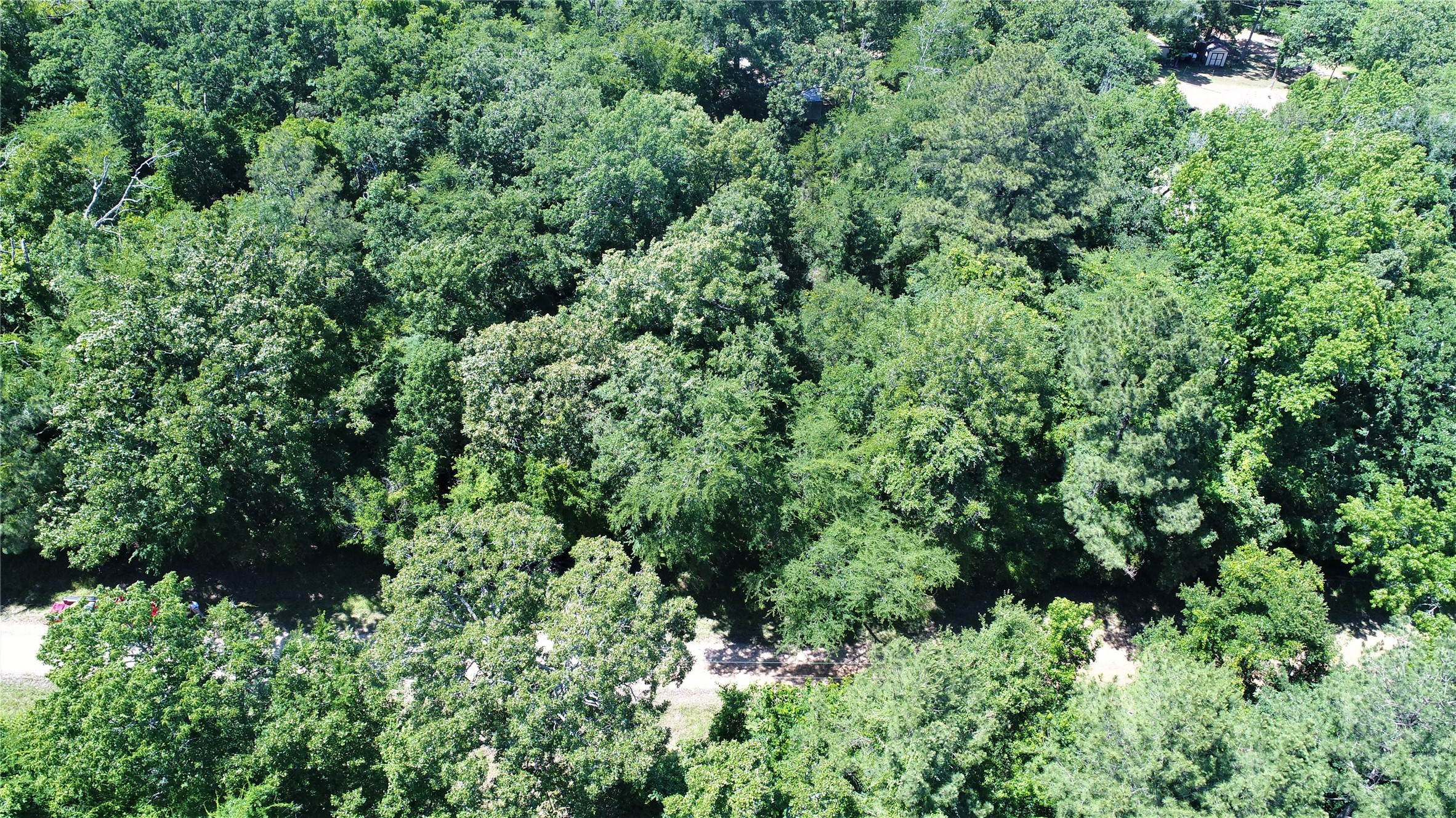 Tbd Forest Road Property Photo 3