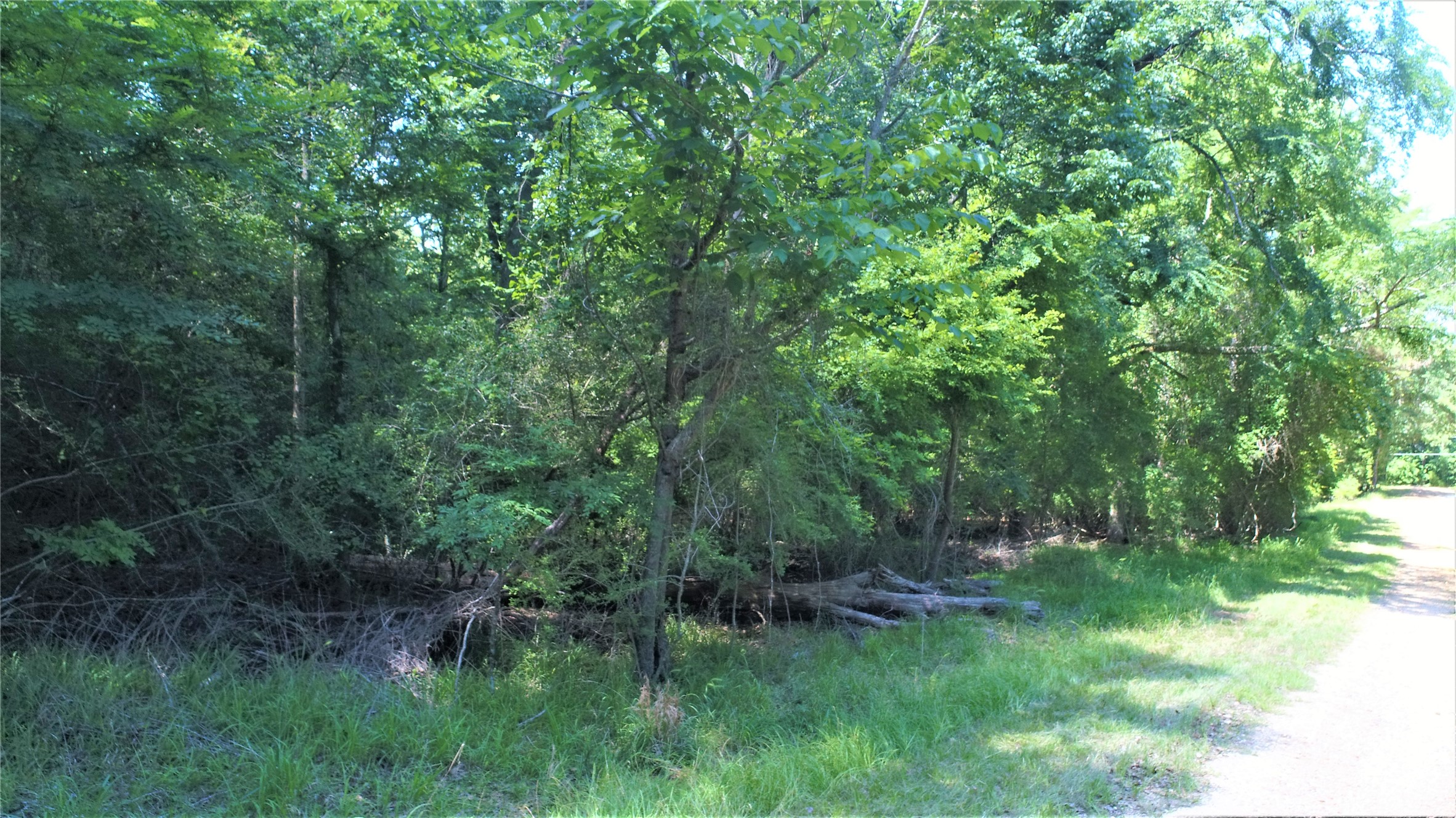 Tbd Forest Road Property Photo 4