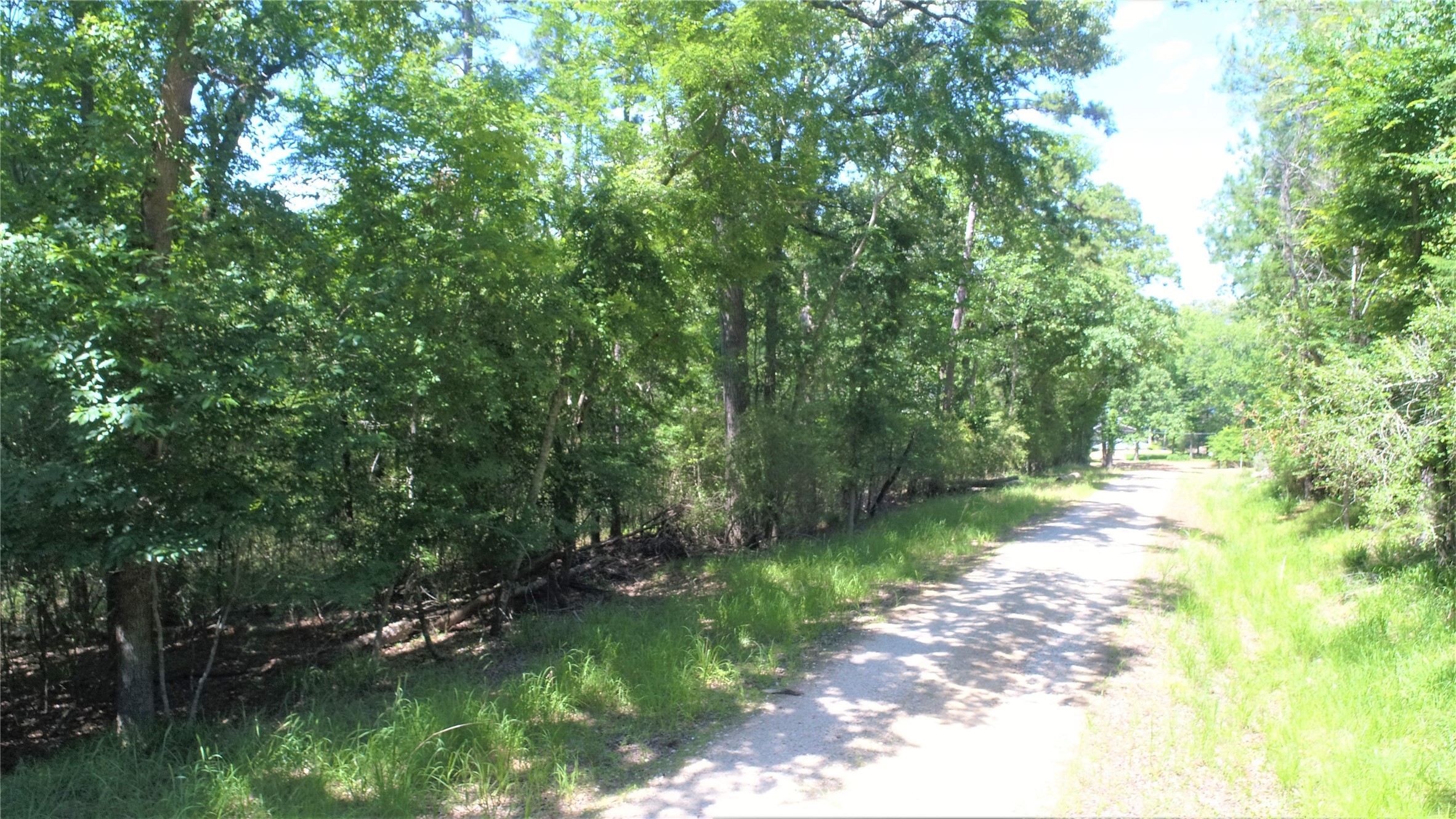Tbd Forest Road Property Photo 5