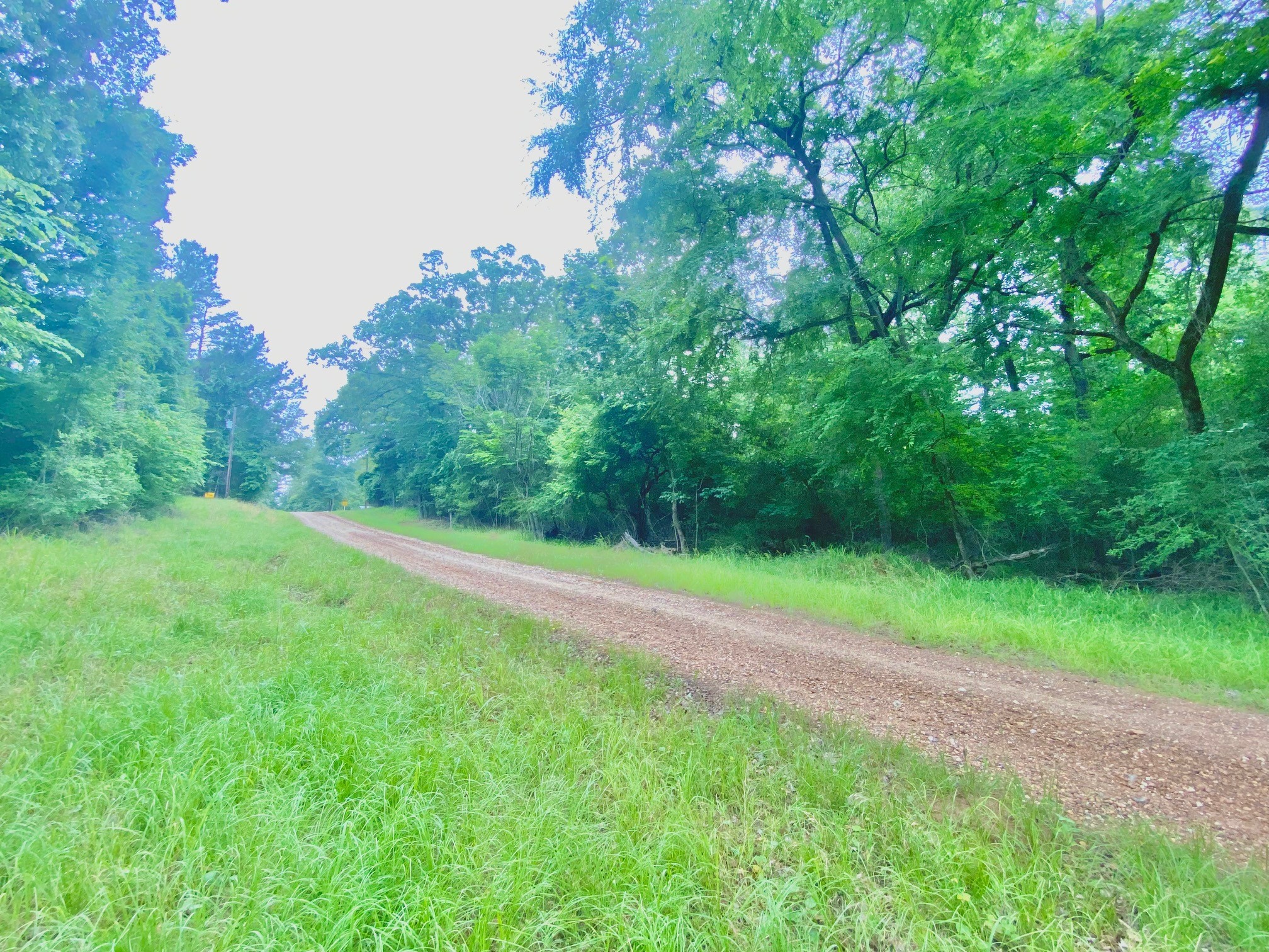 Tbd Forest Road Property Photo 6