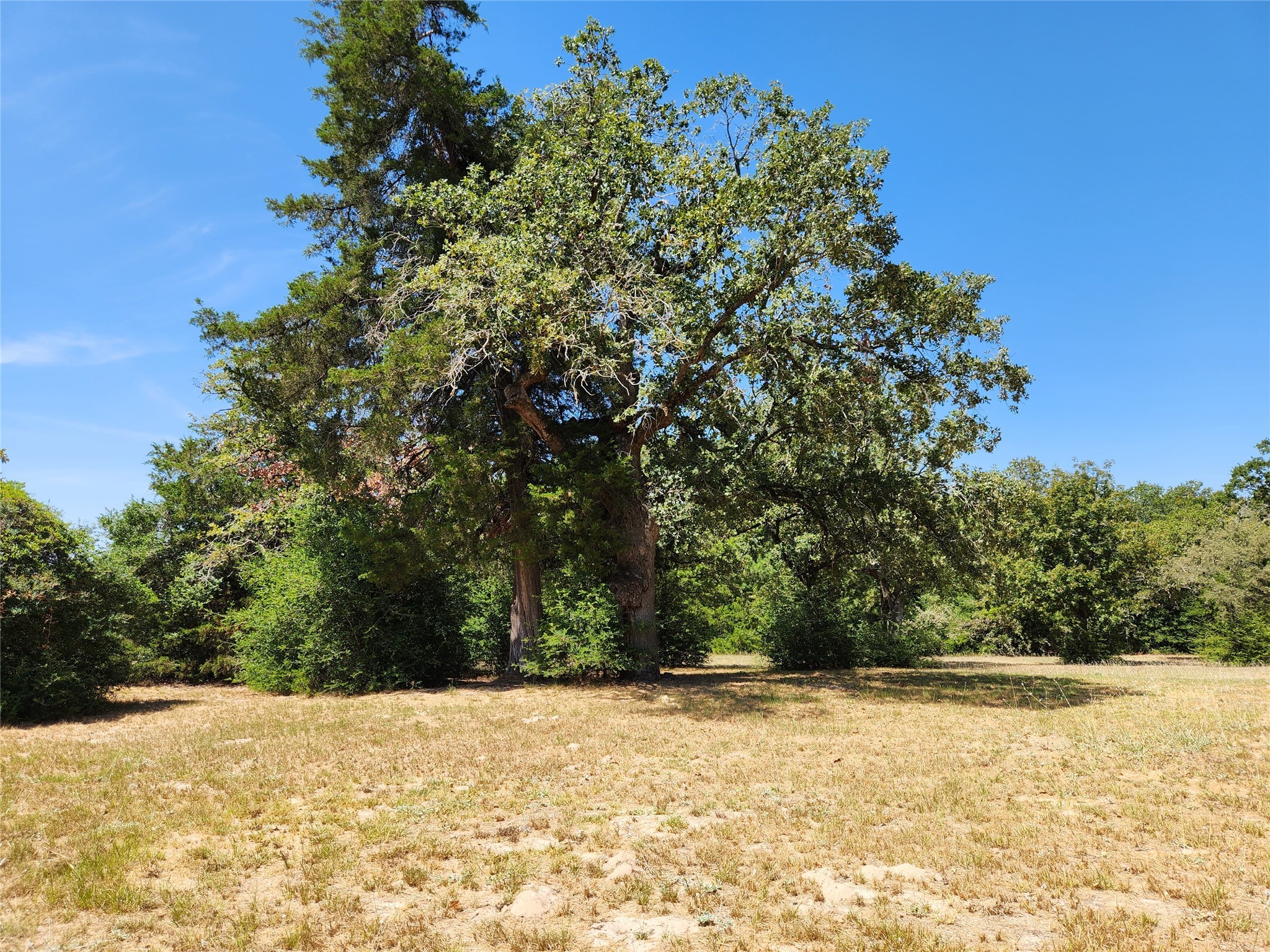1097 N Pr 1270 Property Photo 32