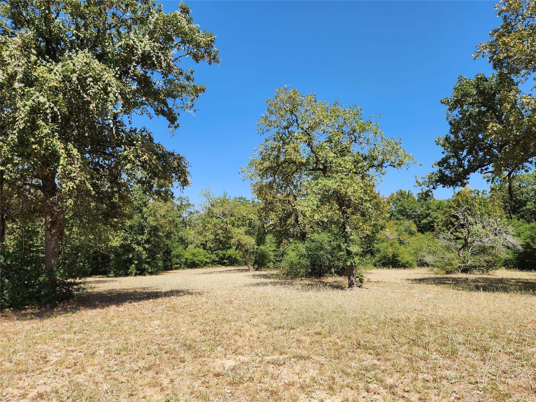 1097 N Pr 1270 Property Photo 38