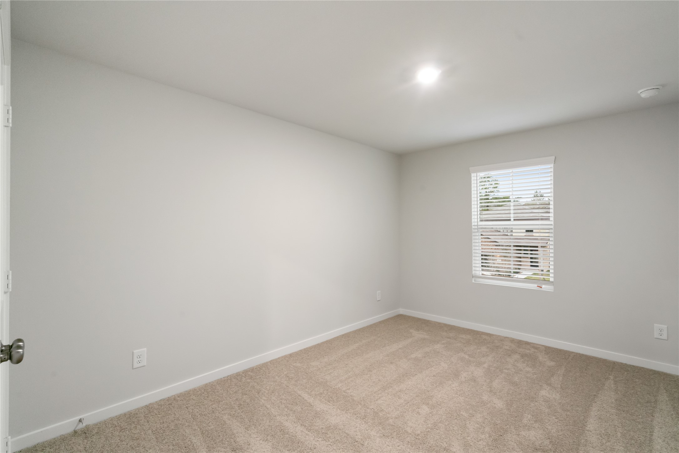 7819 Alset Drive Property Photo 14
