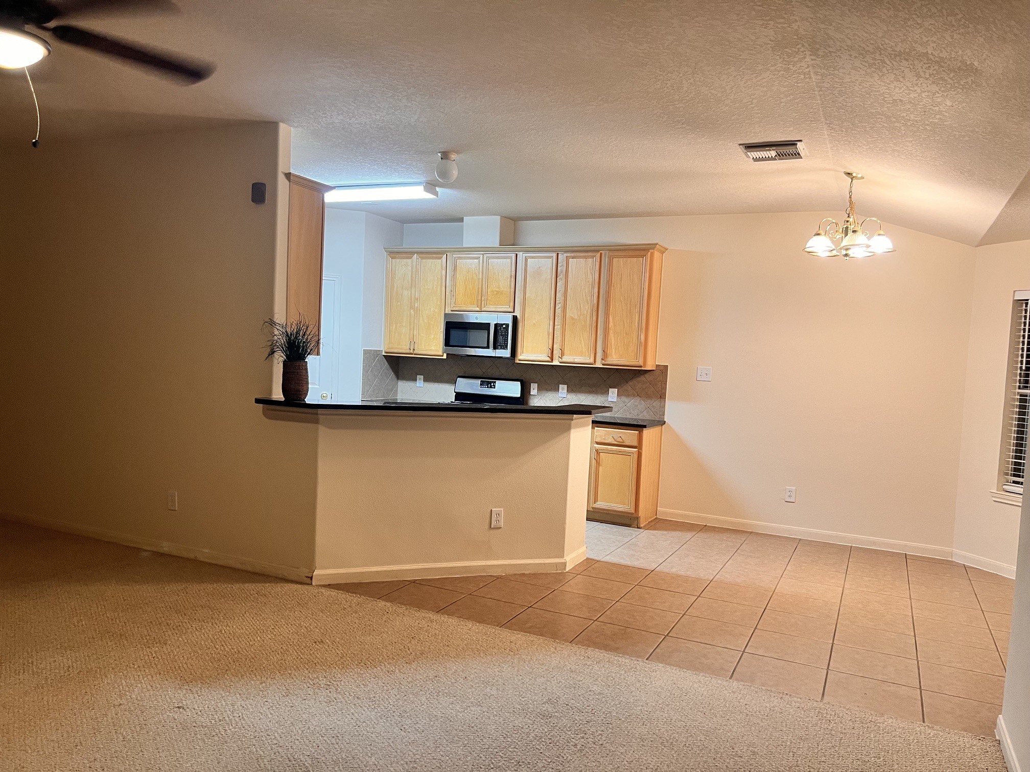 9406 Lakeway View Lane Property Photo 4