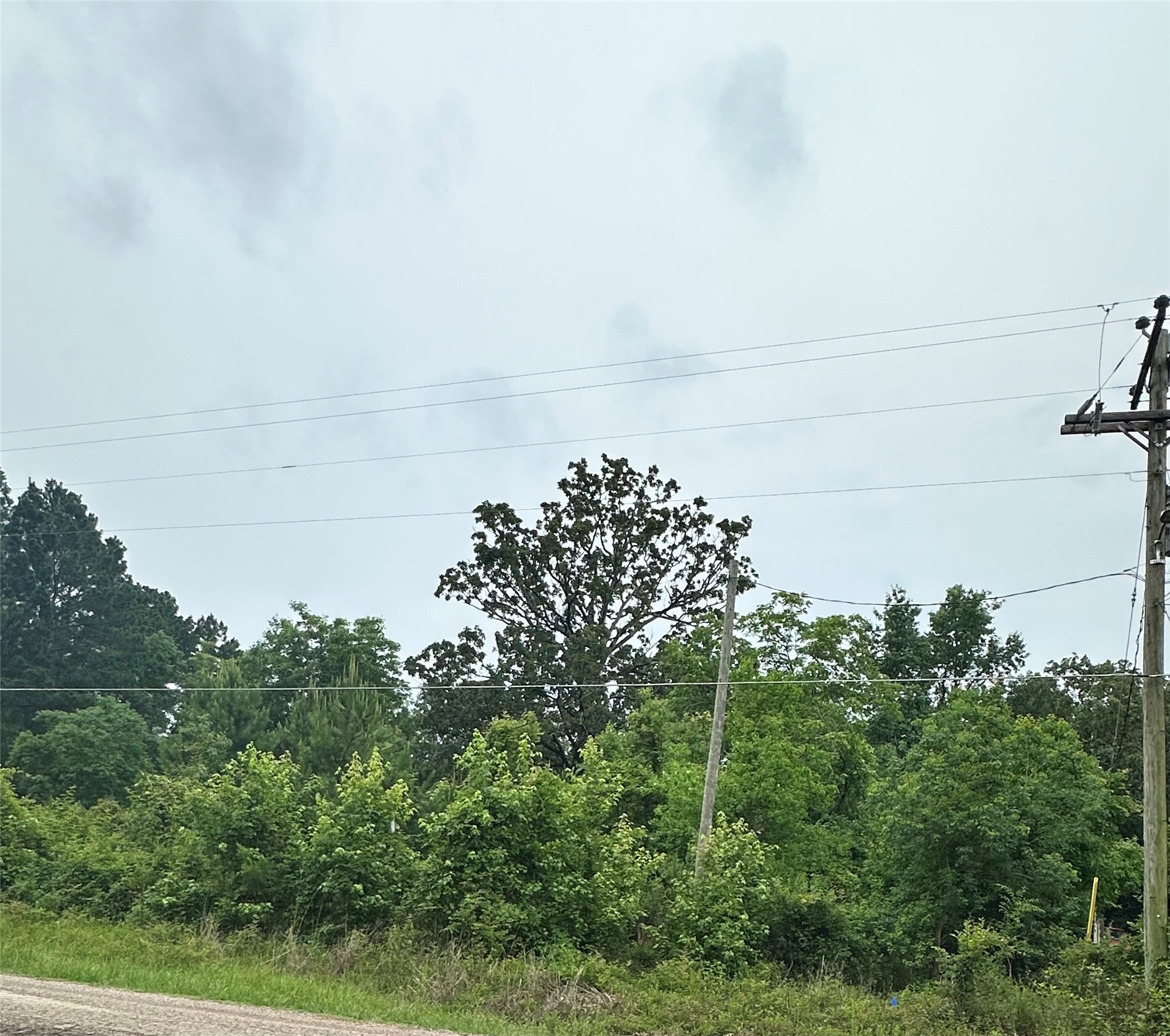 995 Big Hawg Property Photo 2