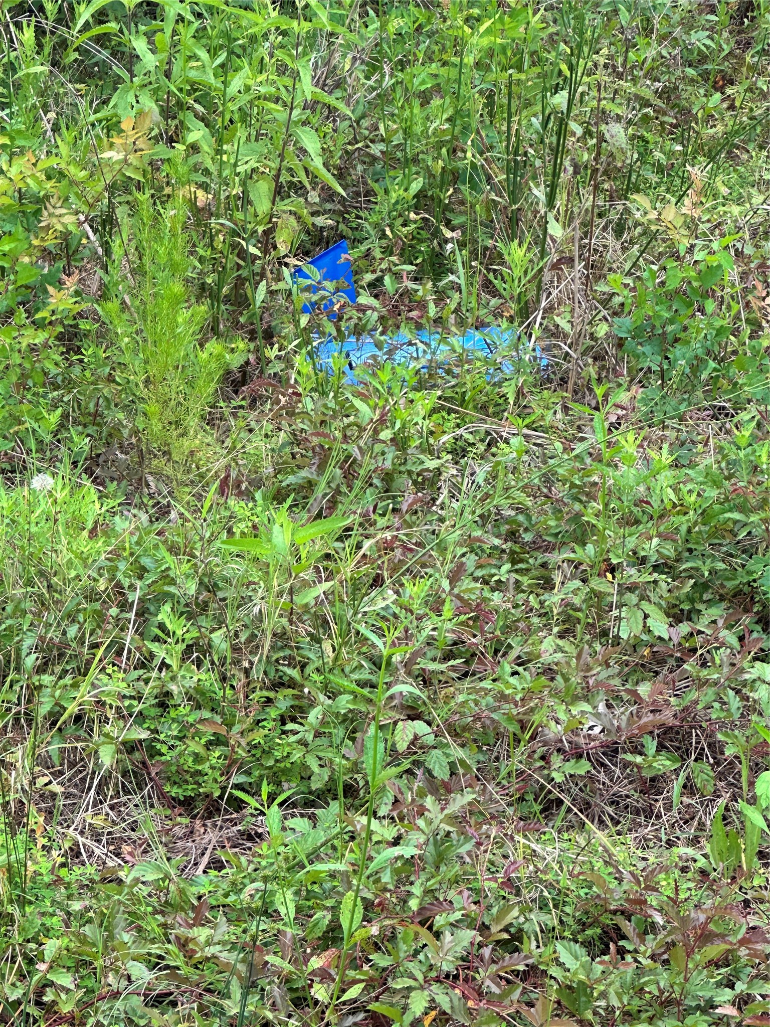 995 Big Hawg Property Photo 4